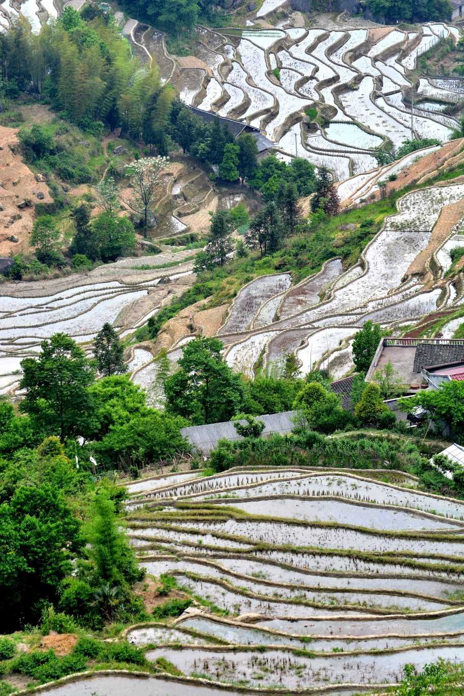 養在深山人未識……山背梯田,漵浦自助遊攻略 - 馬蜂窩