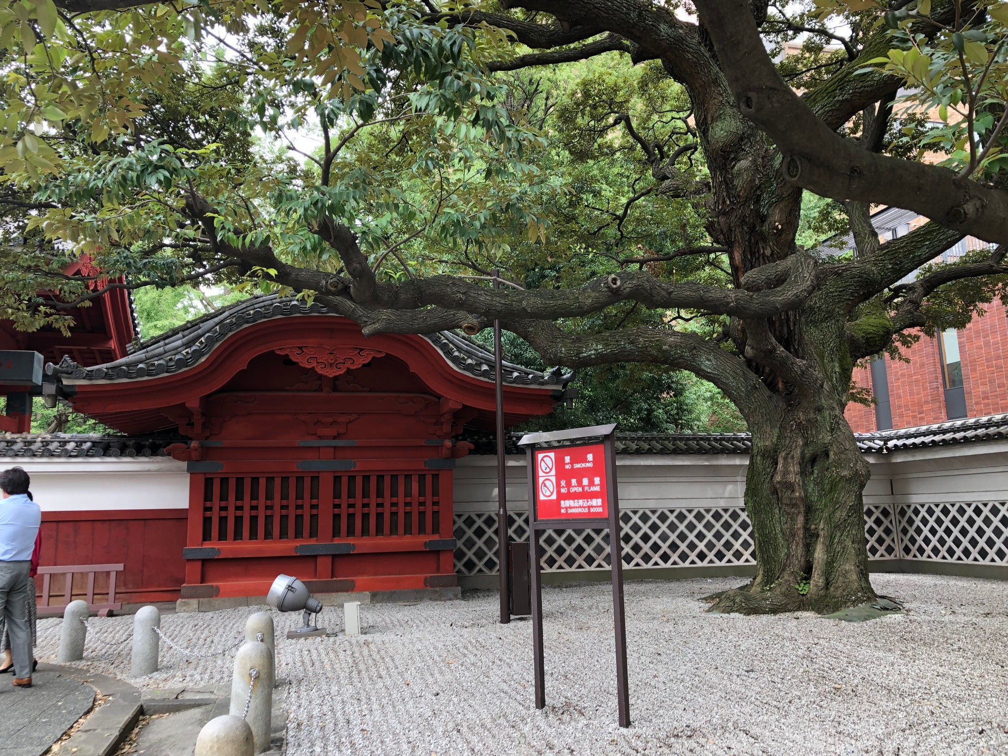 東京自助遊攻略