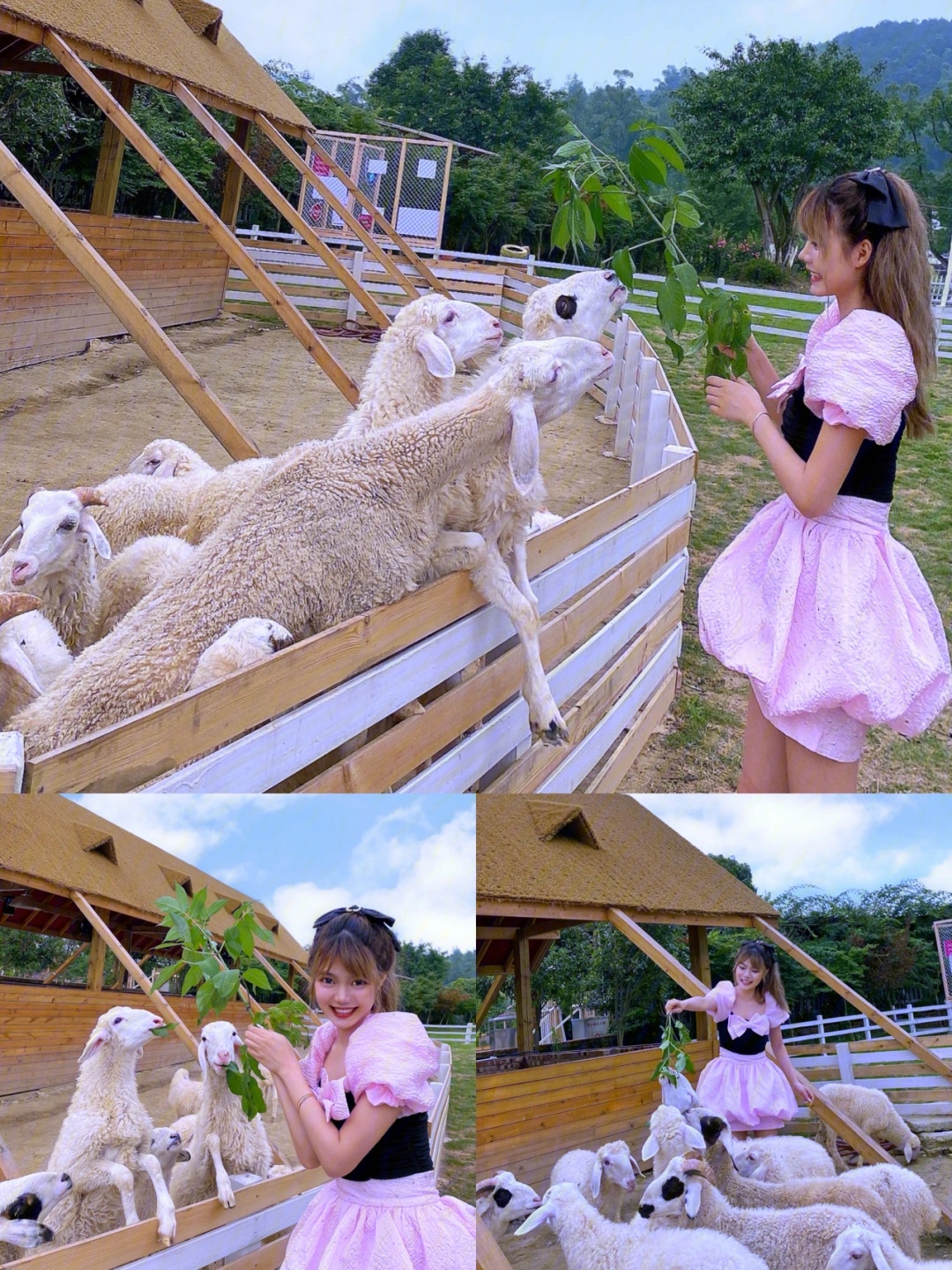 重庆悠云绵羊牧场攻略,悠云绵羊牧场门票_地址,悠云绵羊牧场游览攻略