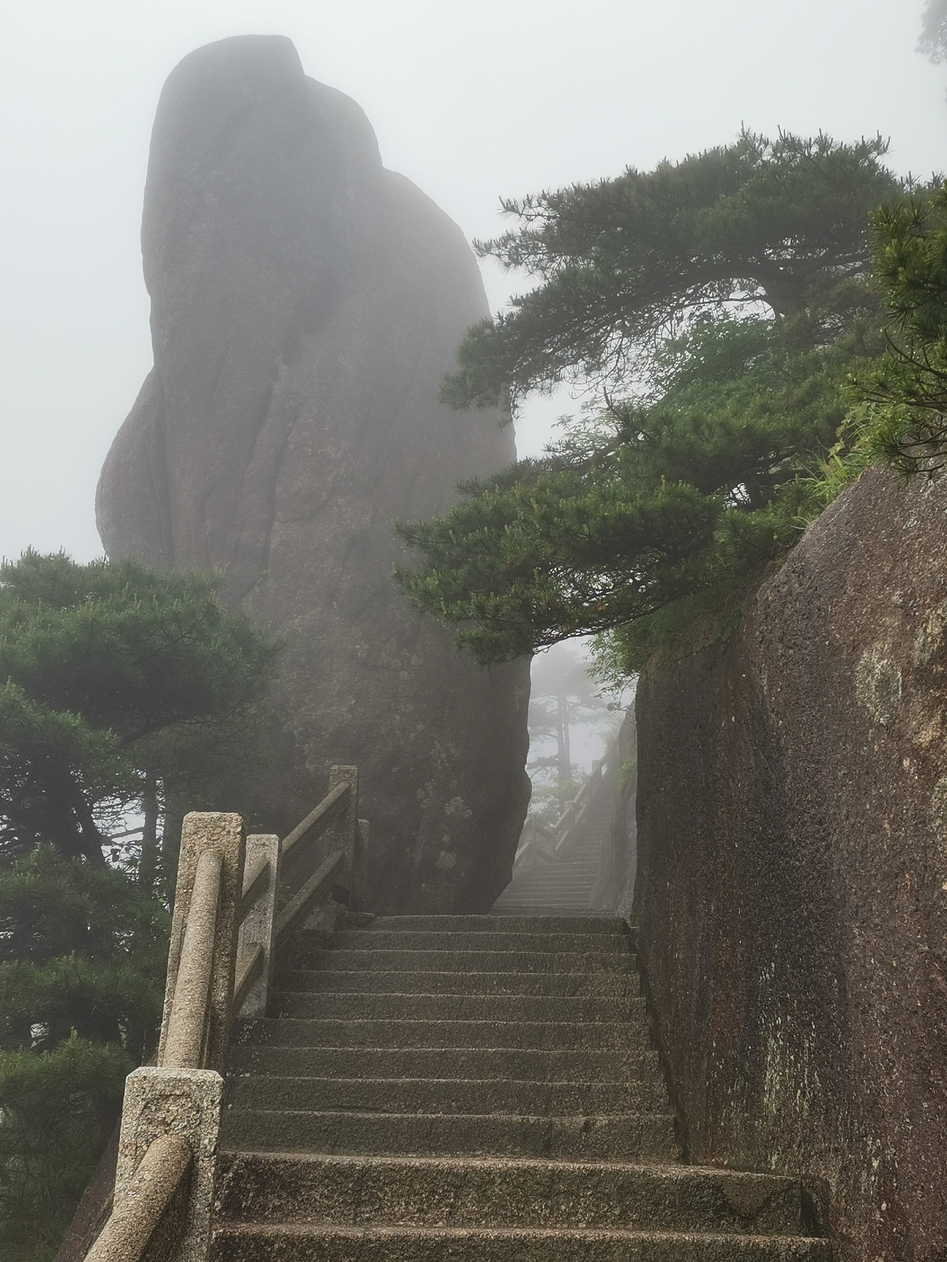 狮林大酒店茶吧