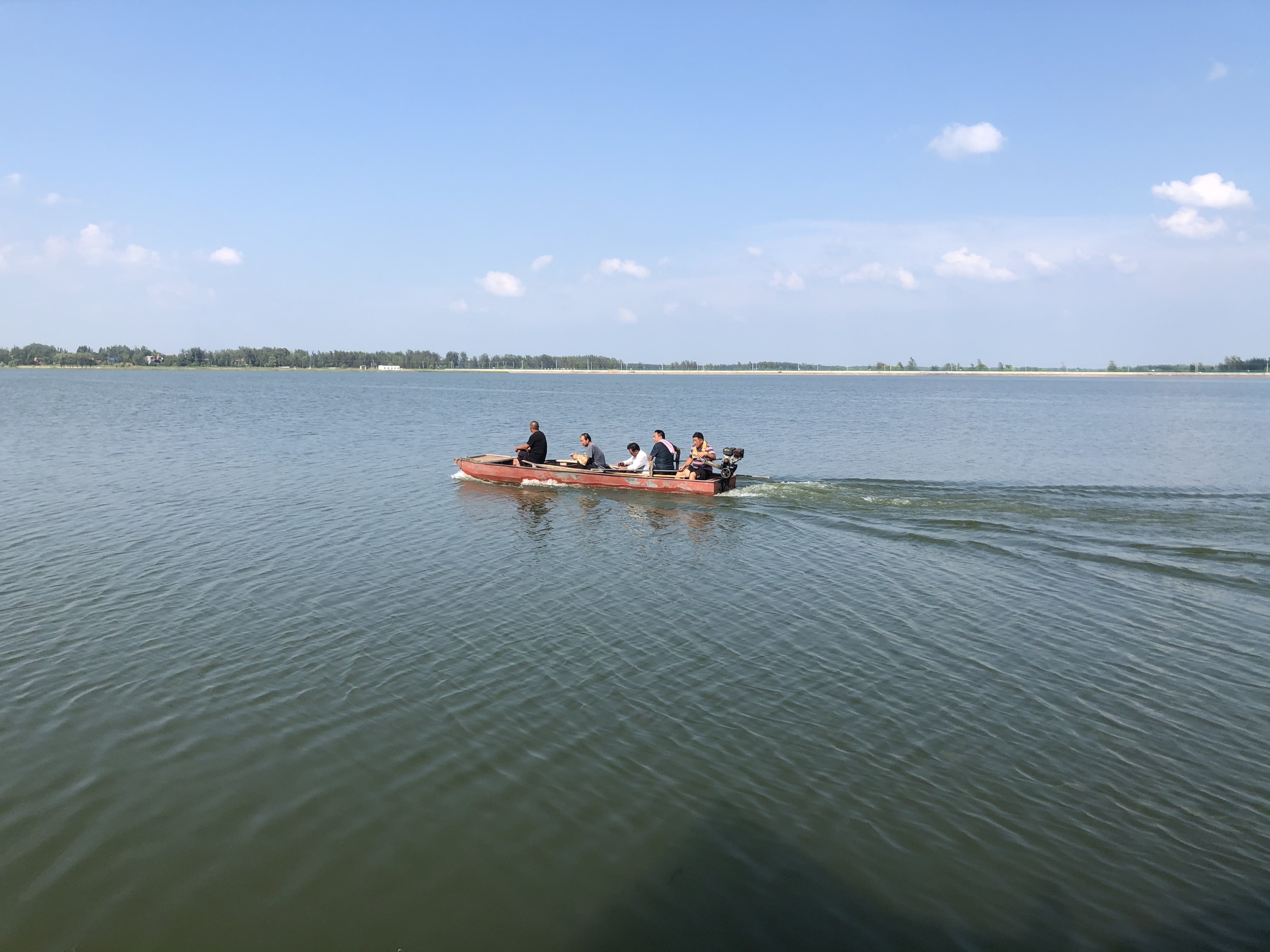 民权龙泽湖风景区图片