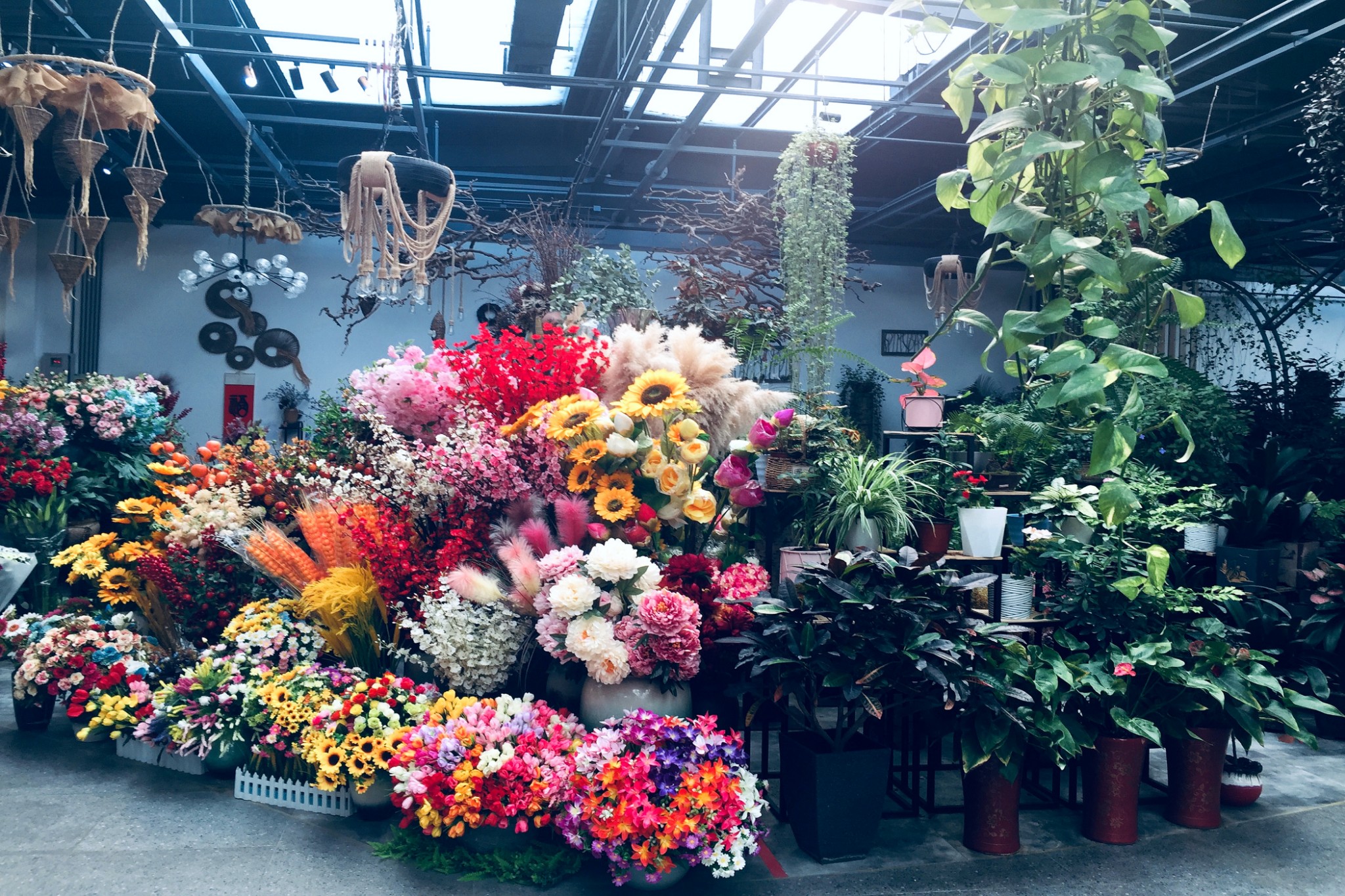 重溫老北京的京味兒生活9眾興花卉市場花鄉花卉嘉年華