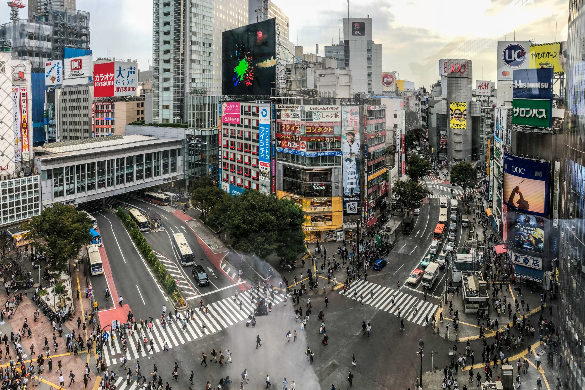 東京自助遊攻略