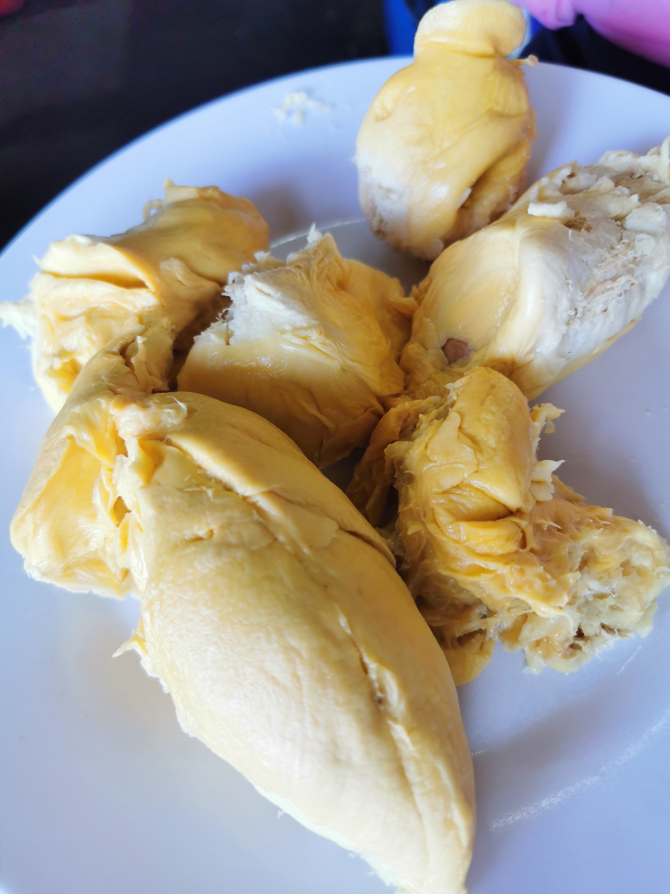 点击查看大图公主港有个宏大湾,也有好几个离岛,都要包船去,我去的