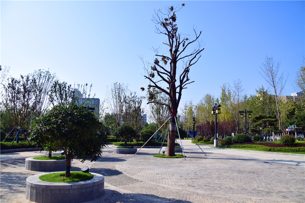 临沂市银雀山兵学文化公园