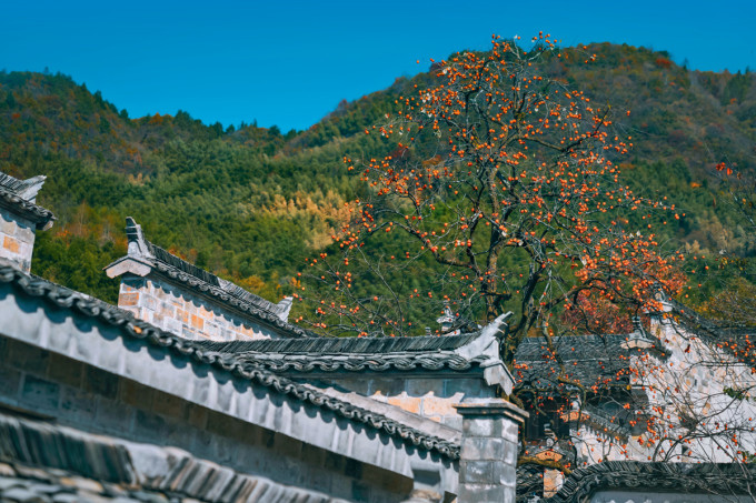 黄山特别篇:游玩线路规划 29