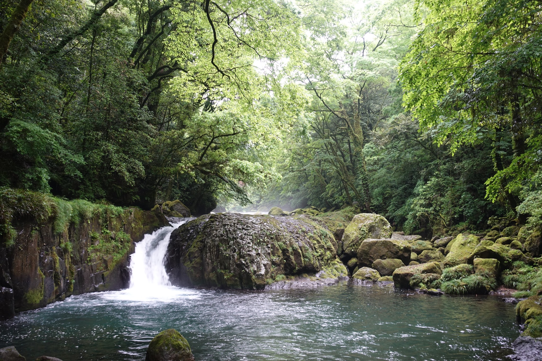 九州自助遊攻略