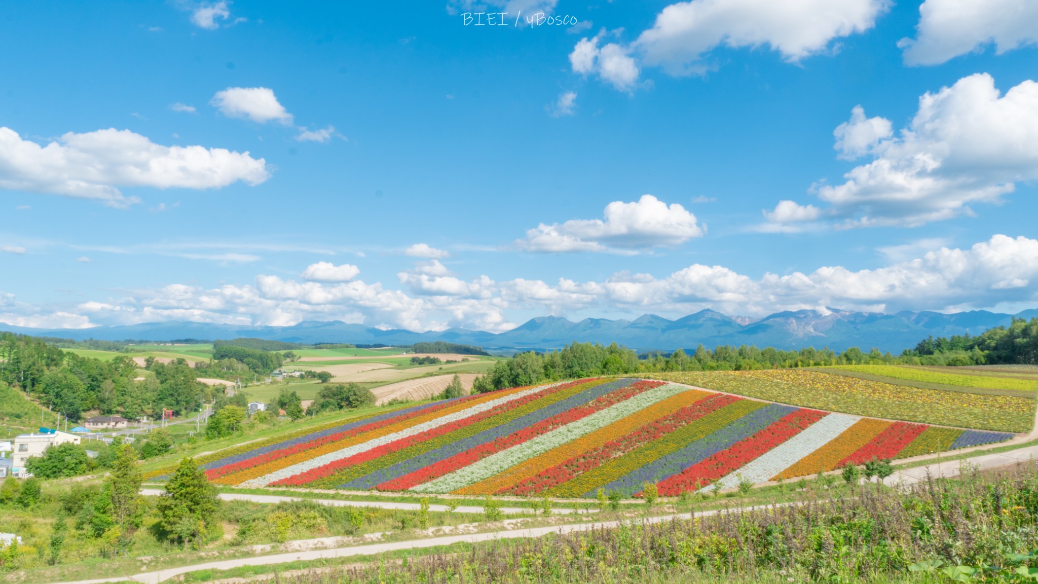 北海道自助遊攻略