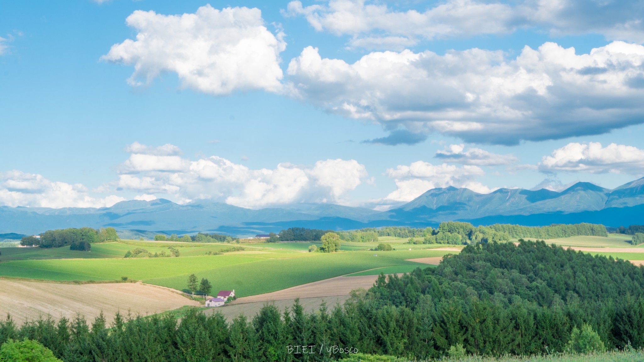 北海道自助遊攻略