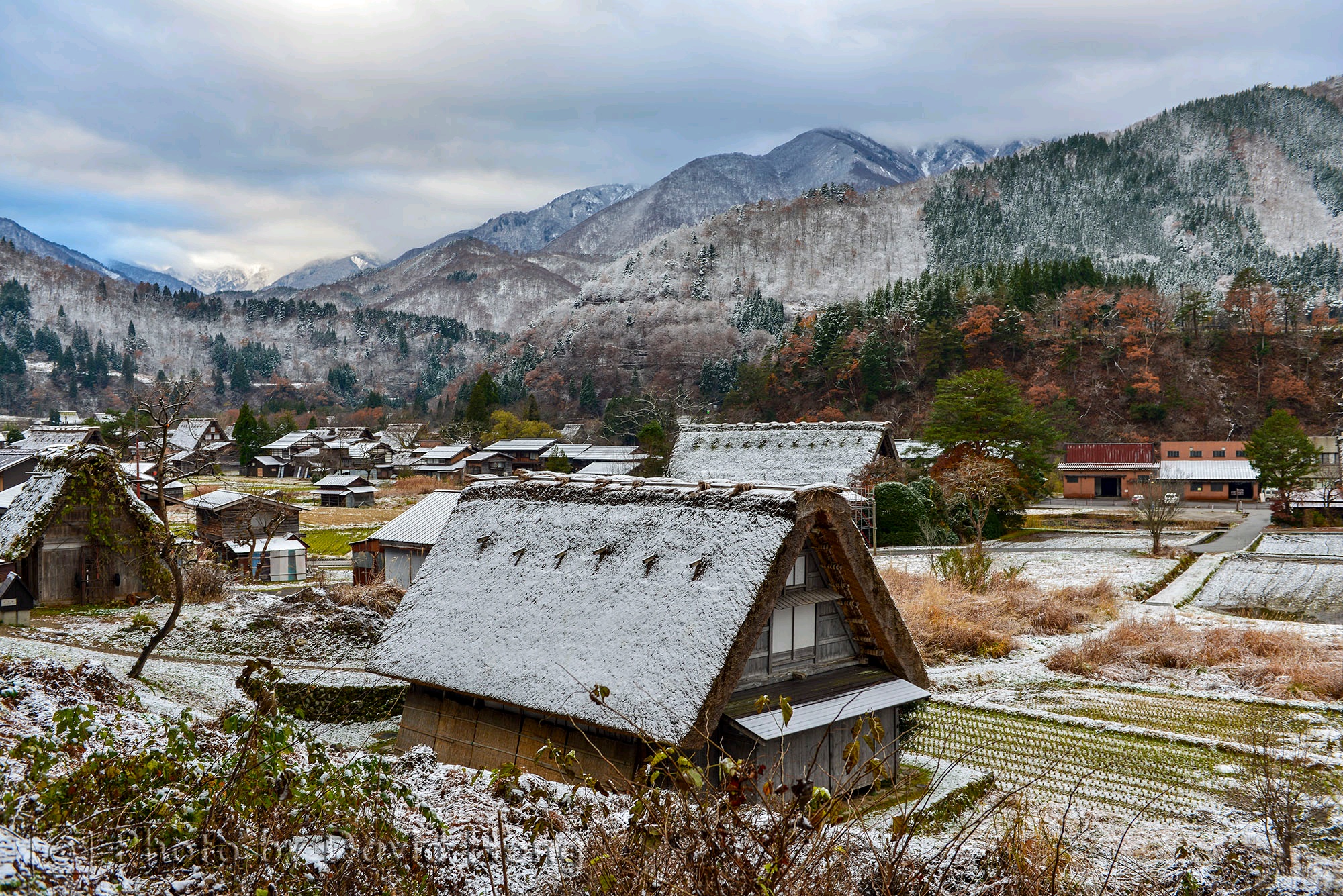 那年