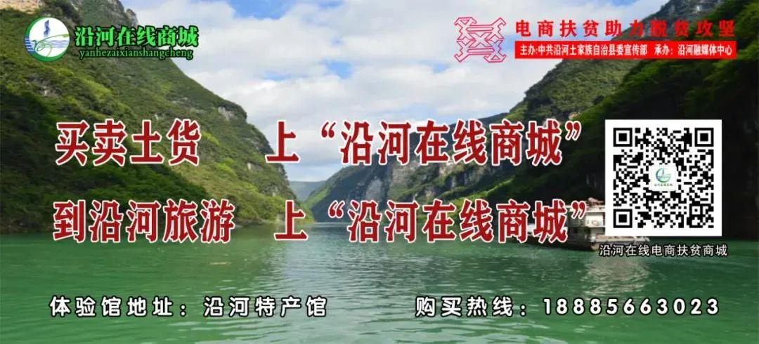 【沿河县委书记 副县长直播带货】主播助力沿货出山