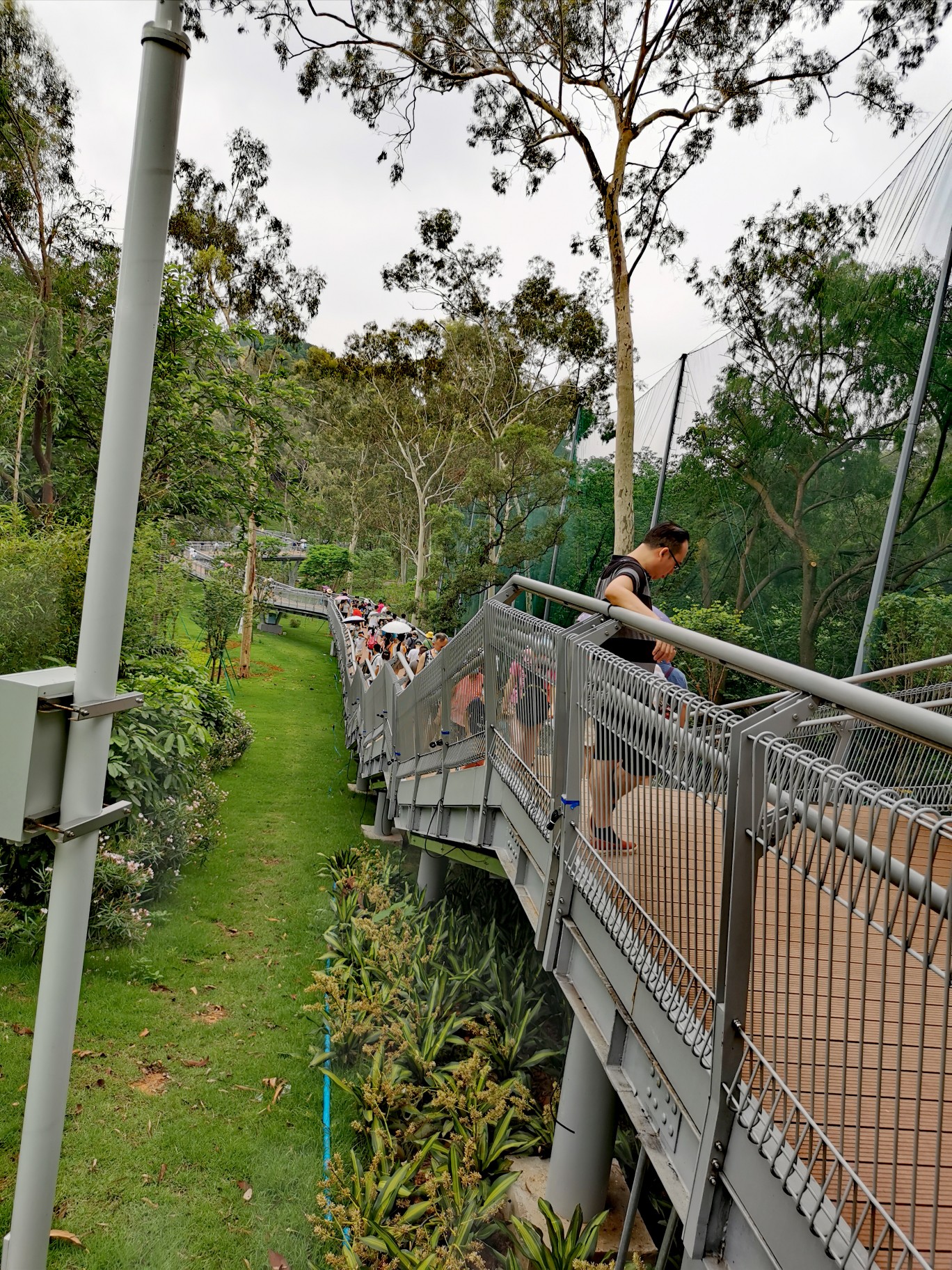 广州越秀公园至白云山空中步道