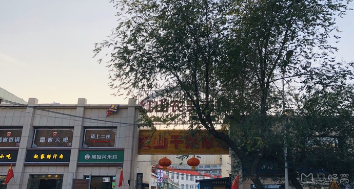 乌鲁木齐新疆红山干果市场点评,新疆红山干果市场地址_评价,乌鲁木齐
