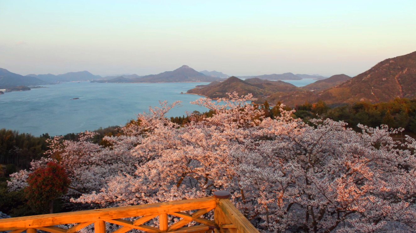 开山公园攻略 开山公园门票 地址 开山公园景点攻略 马蜂窝