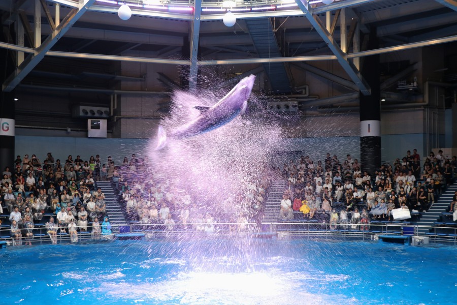 【日本】东京aqua park品川水族馆
