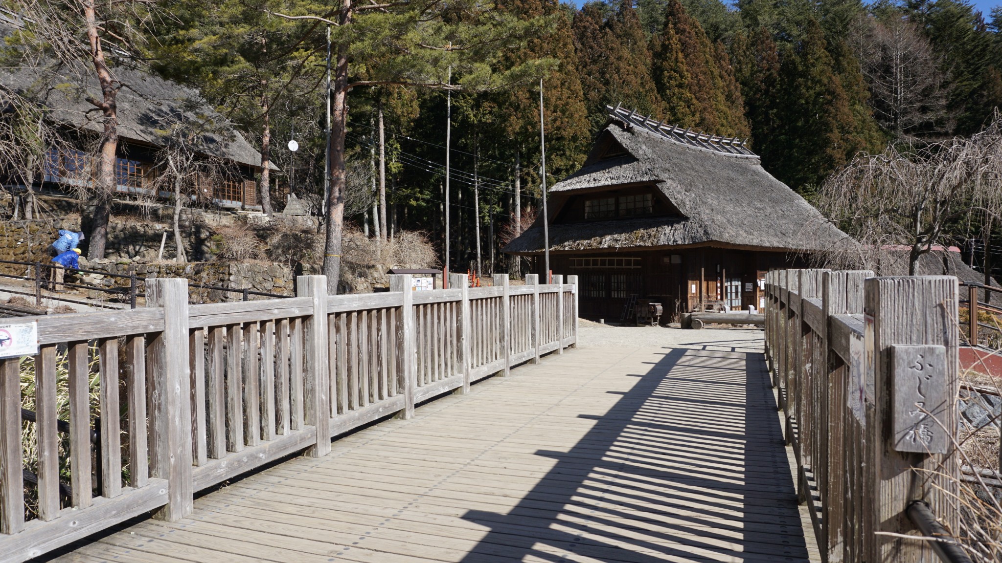 北海道自助遊攻略