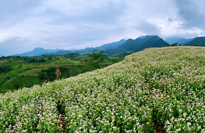 桐花沟景区旅游图片,桐花沟景区自助游图片,桐花沟景区旅游景点照片