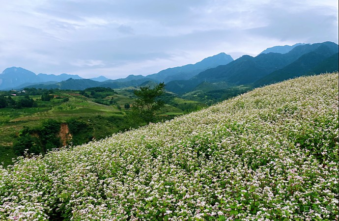 桐花沟景区旅游图片,桐花沟景区自助游图片,桐花沟景区旅游景点照片