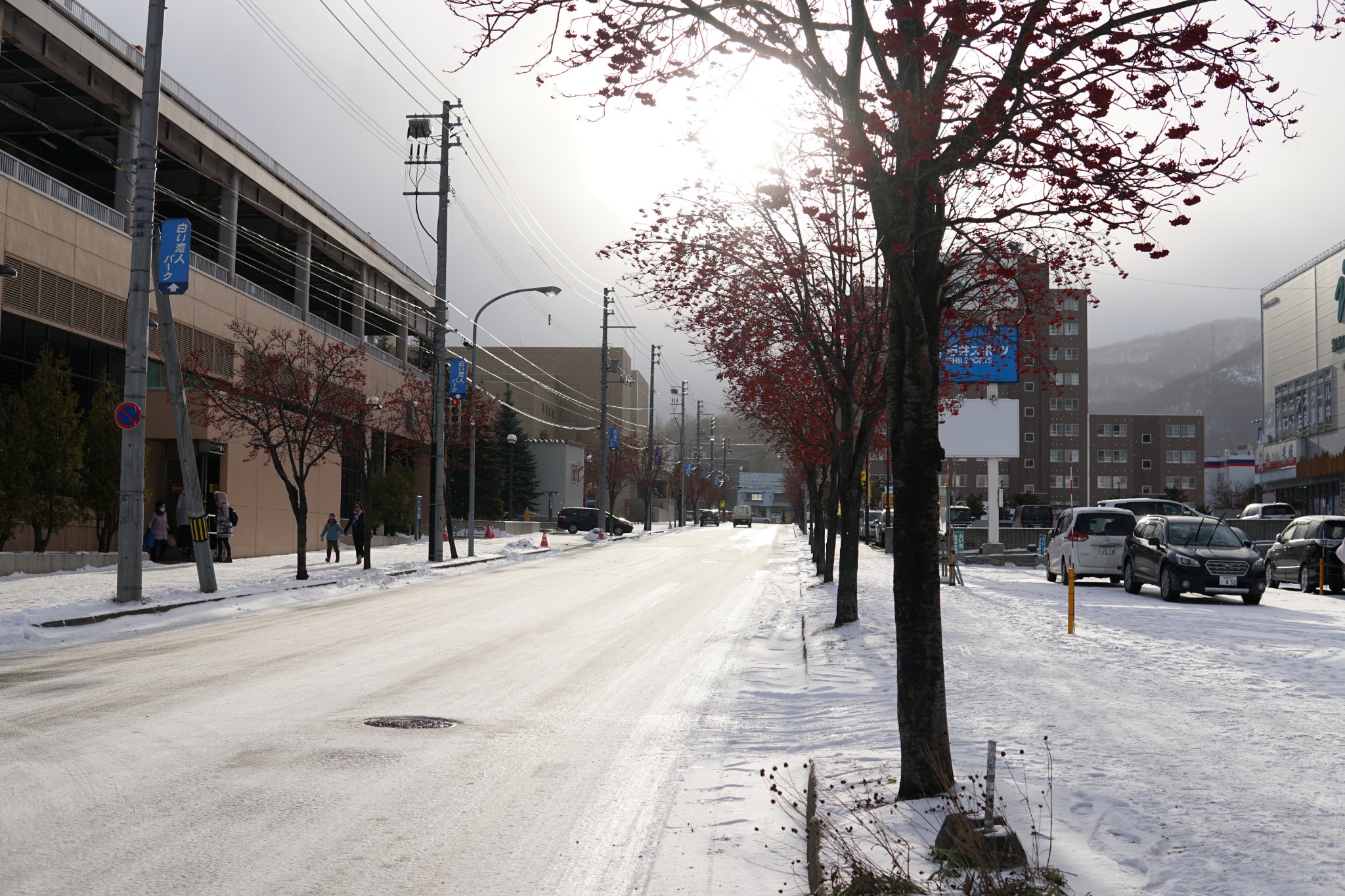 北海道自助遊攻略