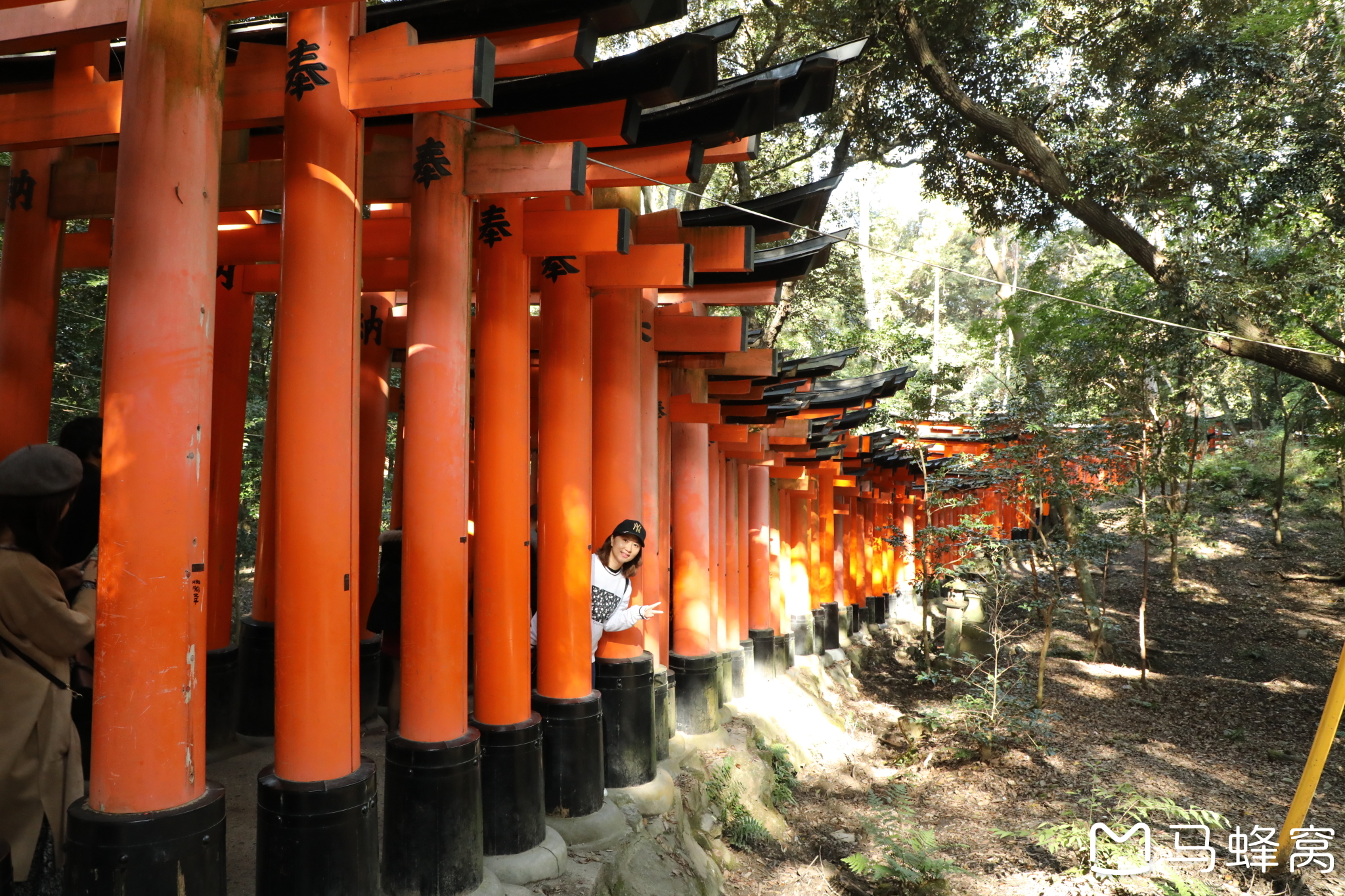 京都自助遊攻略