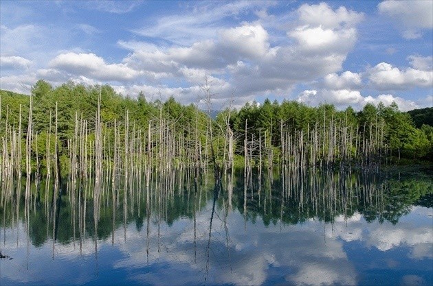 北海道自助遊攻略