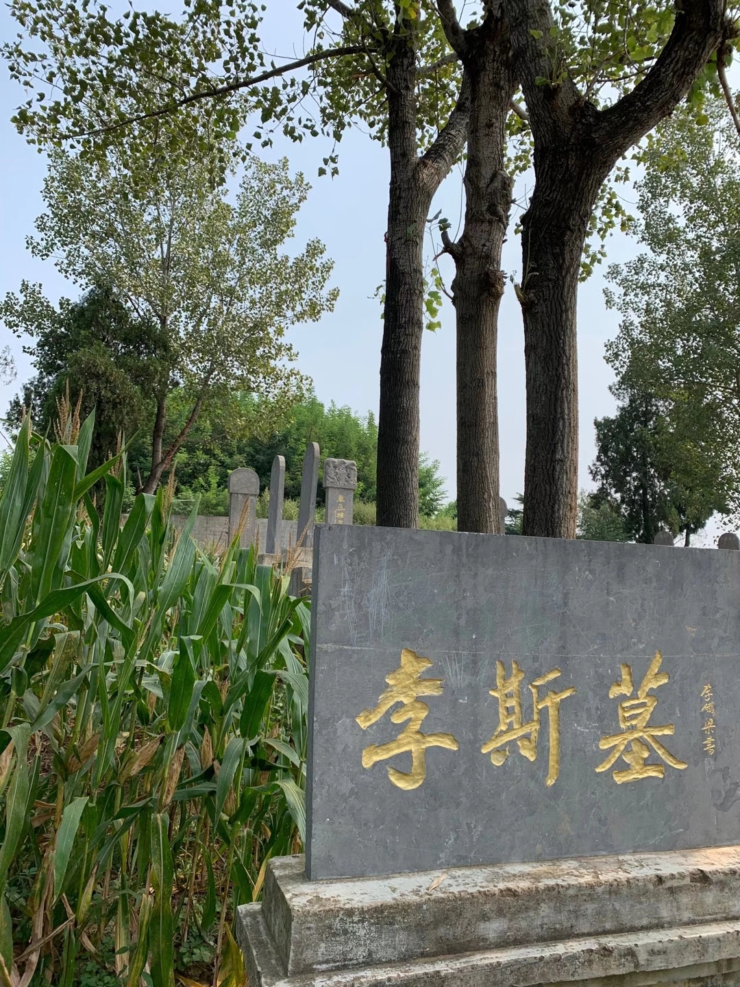 周口太昊伏羲陵许昌春秋楼曹丞相府禹州市周定王陵巩义石窟寺杜甫墓