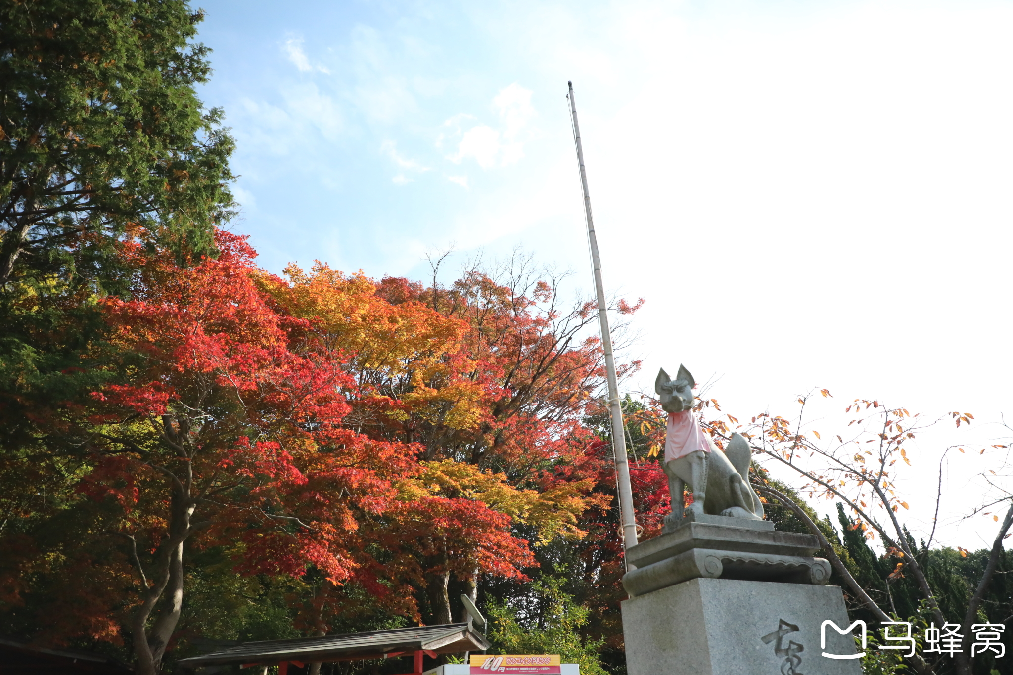 京都自助遊攻略