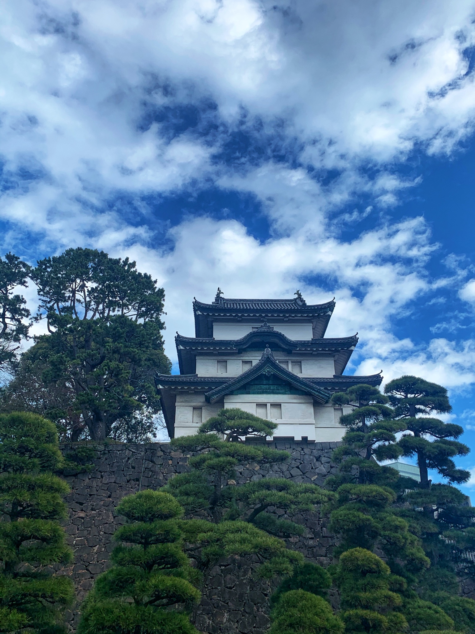 東京自助遊攻略