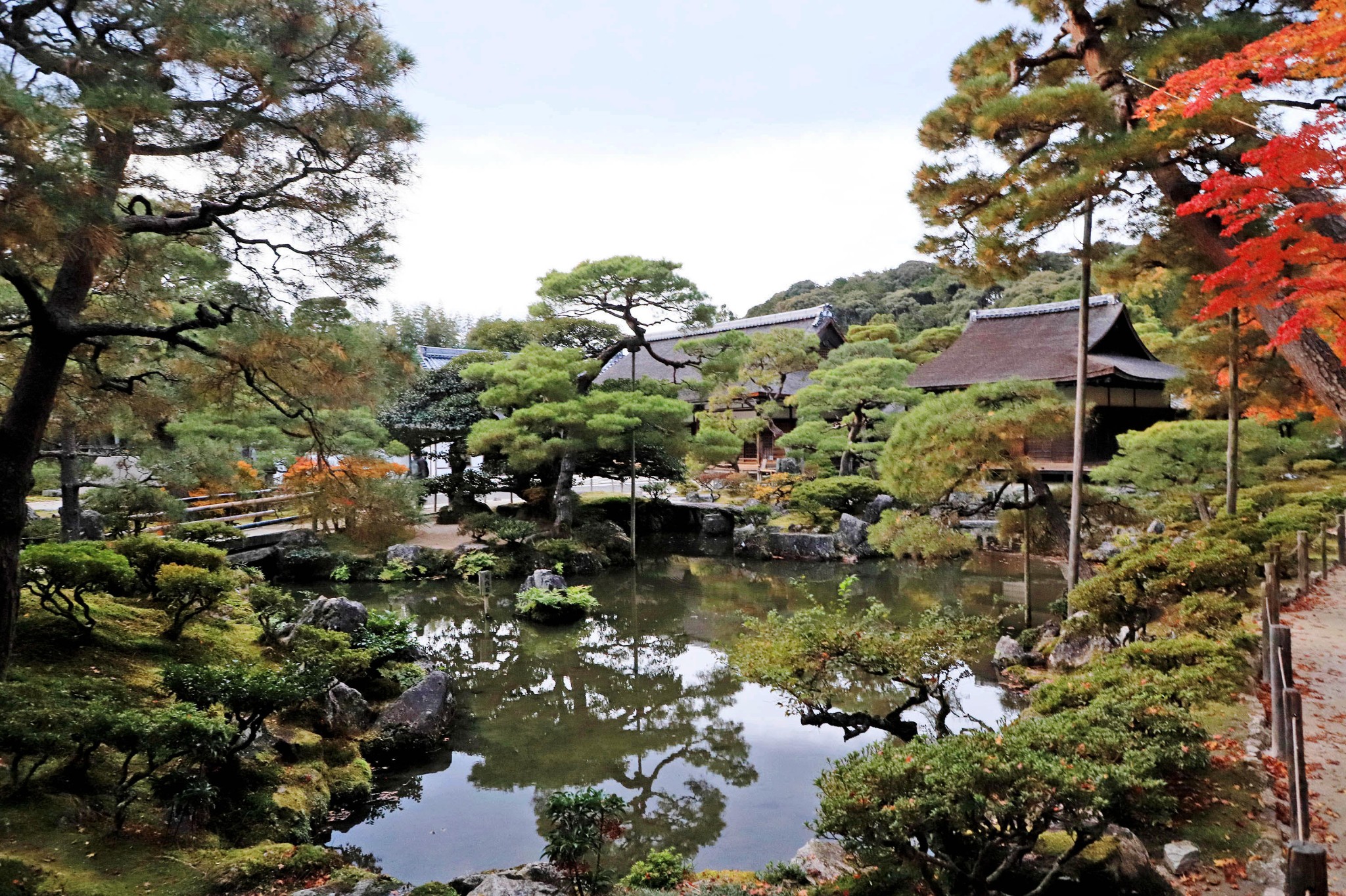 京都自助遊攻略