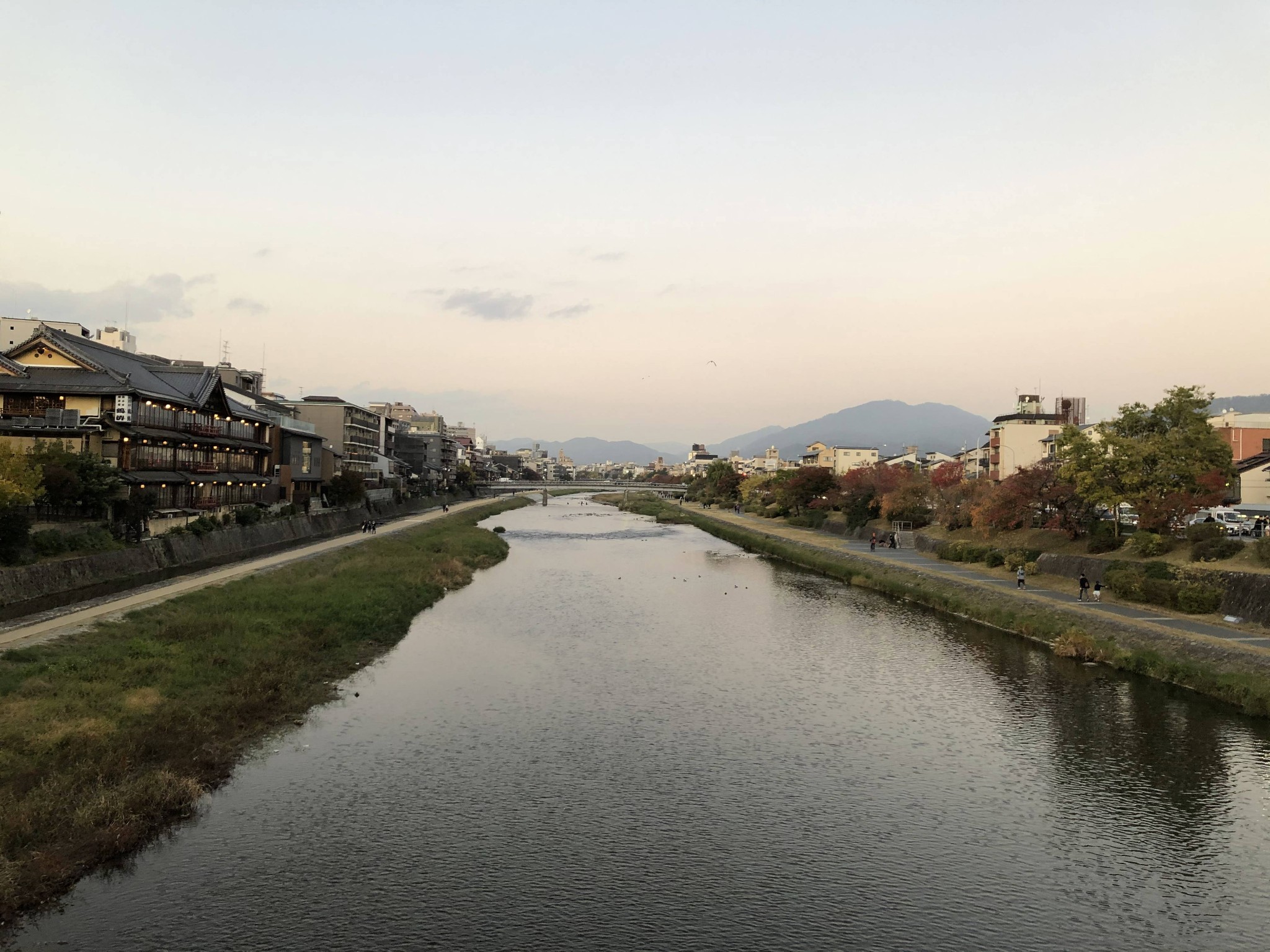 京都自助遊攻略