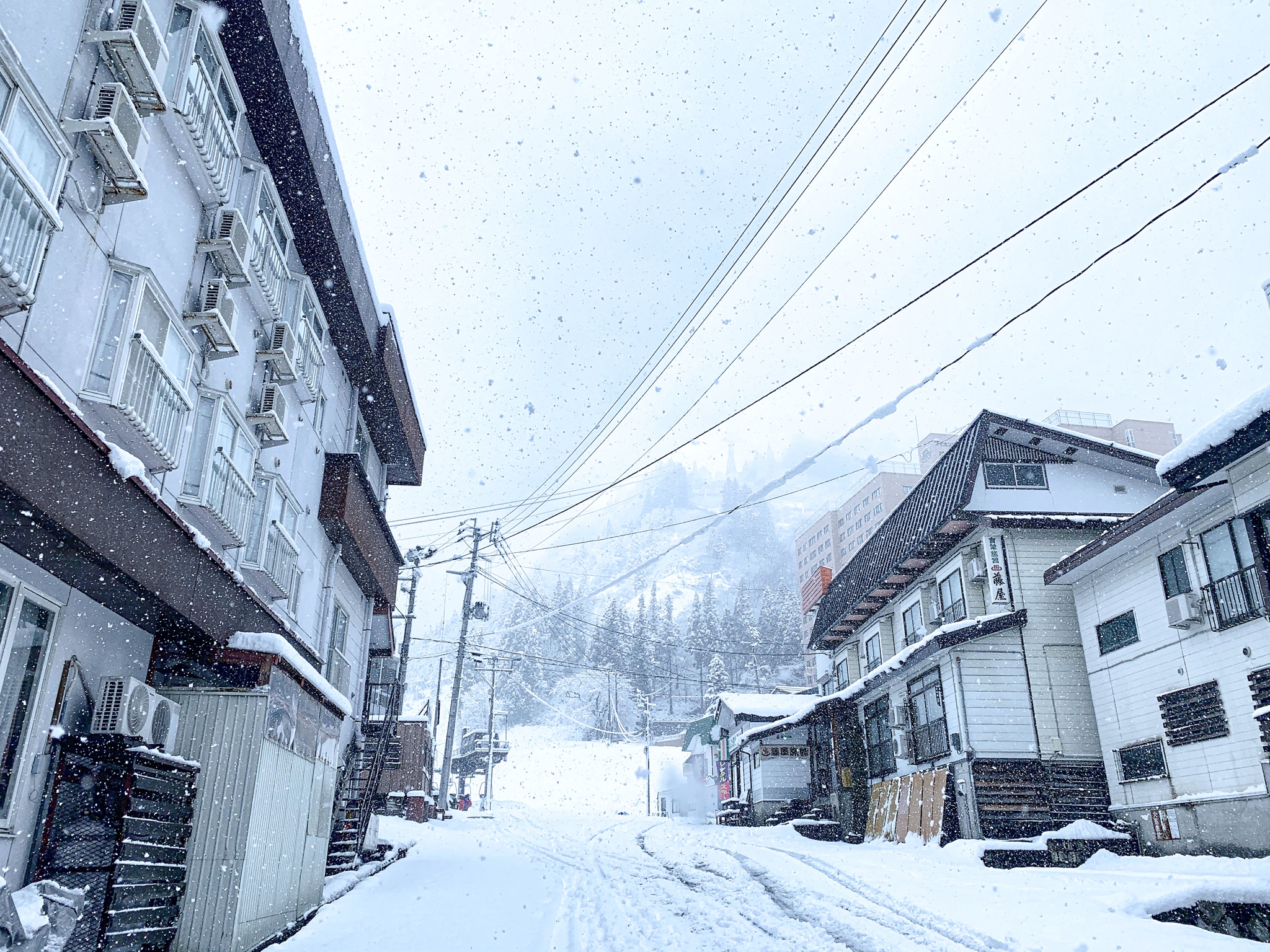 東京自助遊攻略