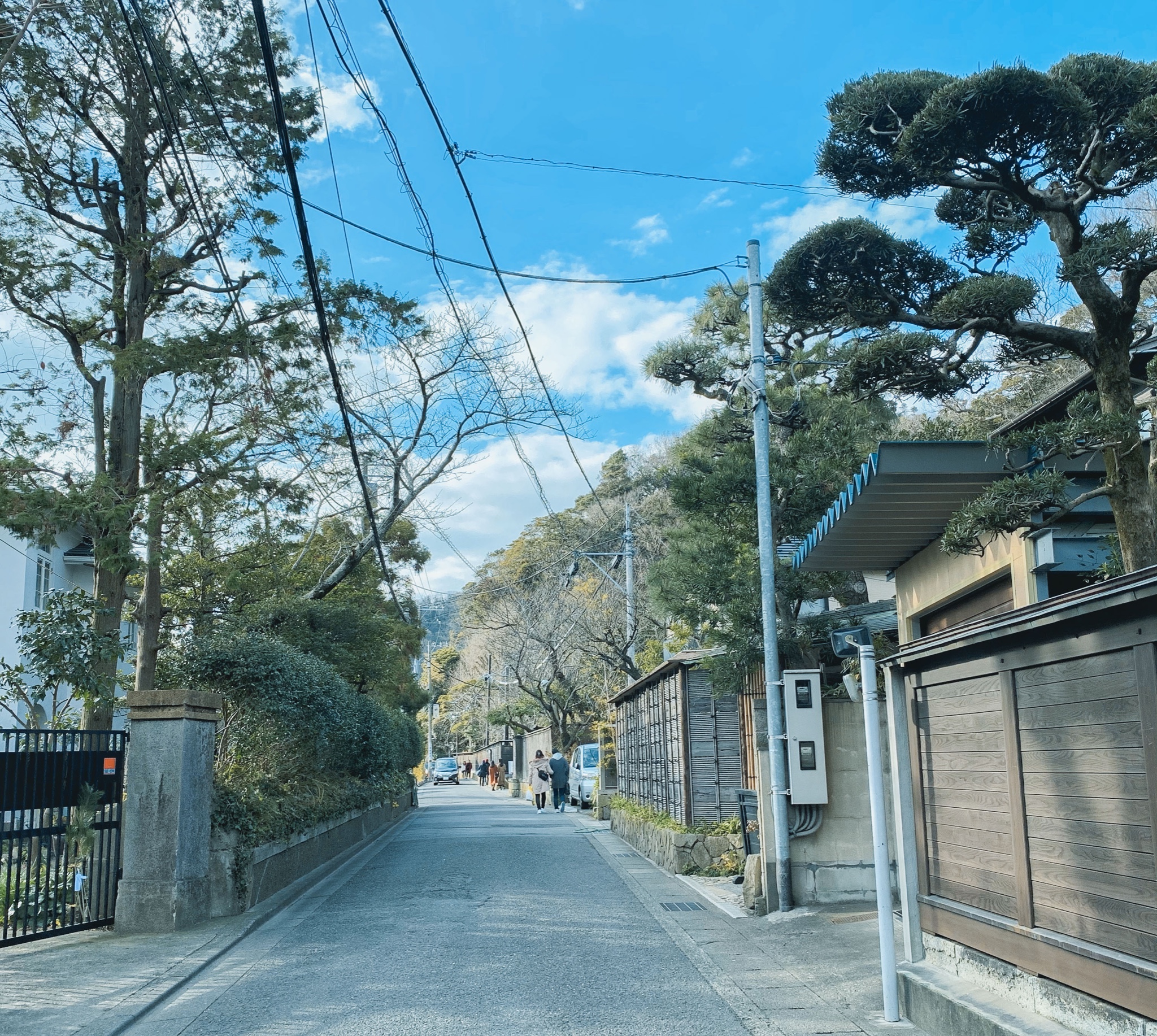 東京自助遊攻略