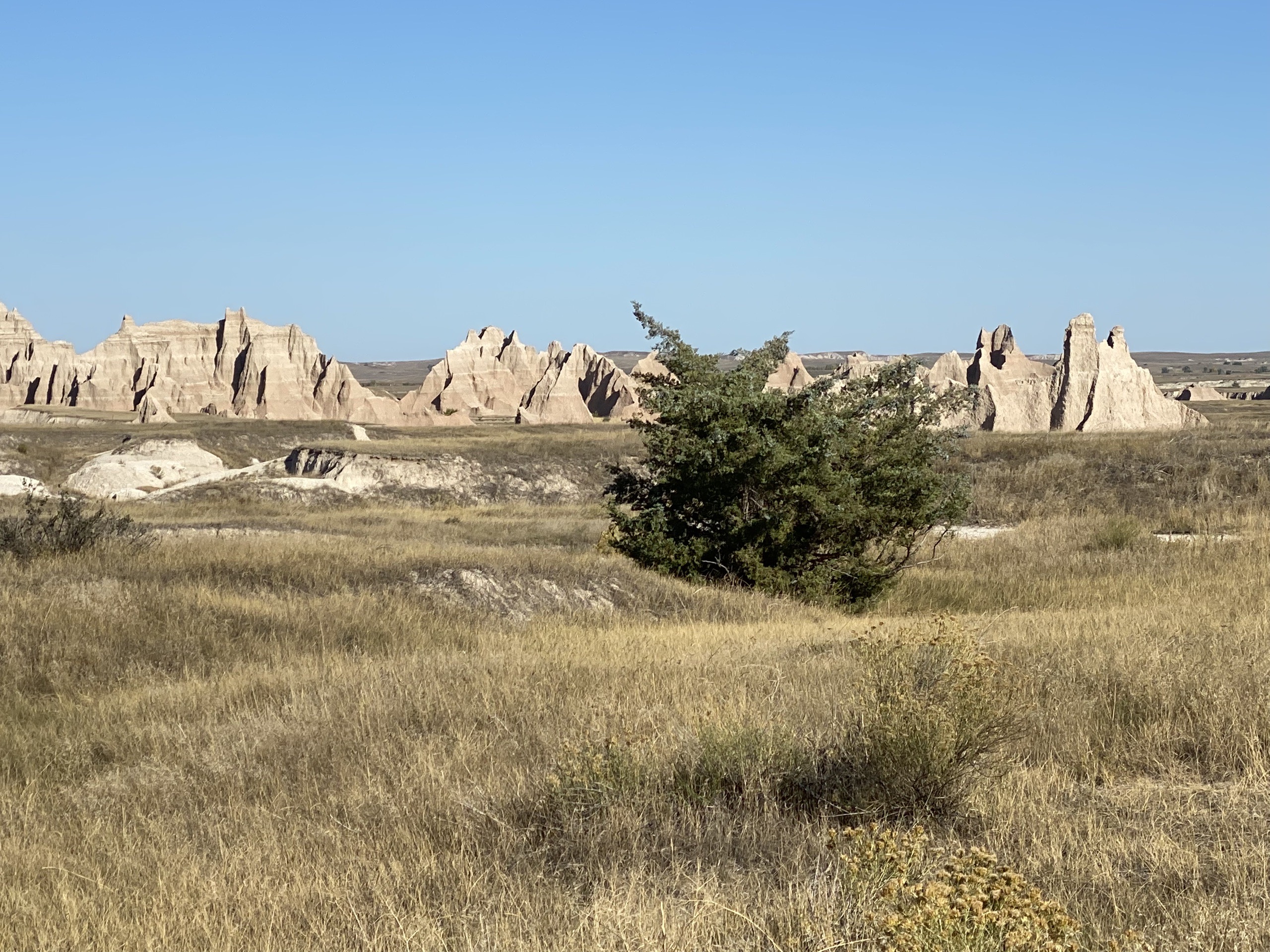 Badlands Wall