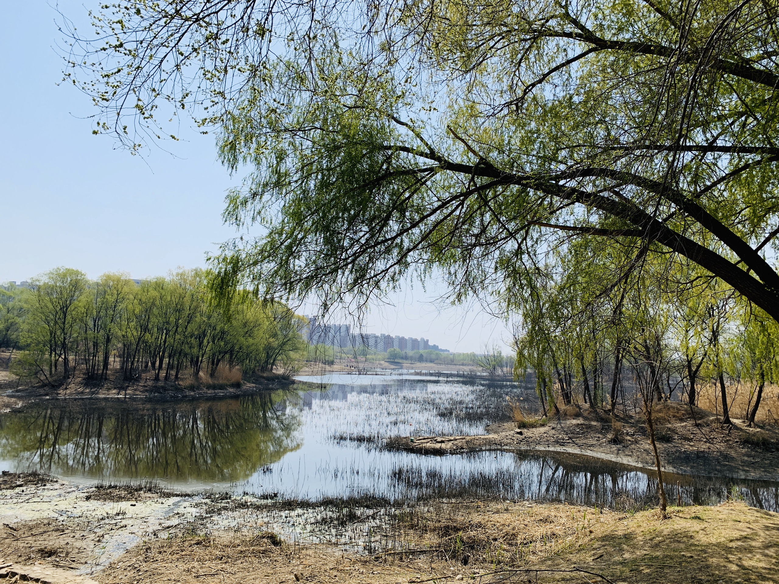 北京昌平滨河公园图片