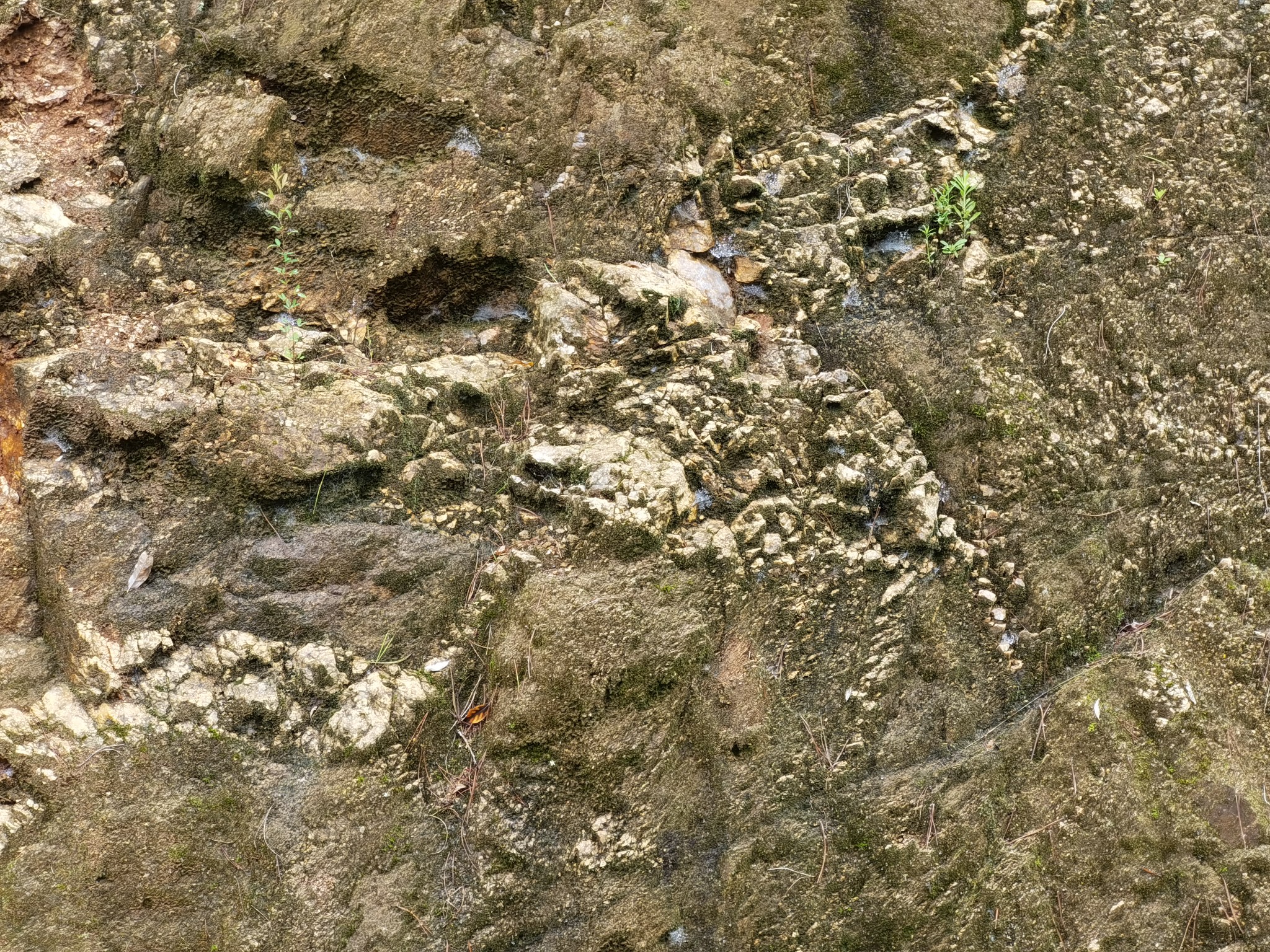 佛坪过夏(6)最新寺庙佛光寺,汉中旅游攻略 - 马蜂窝
