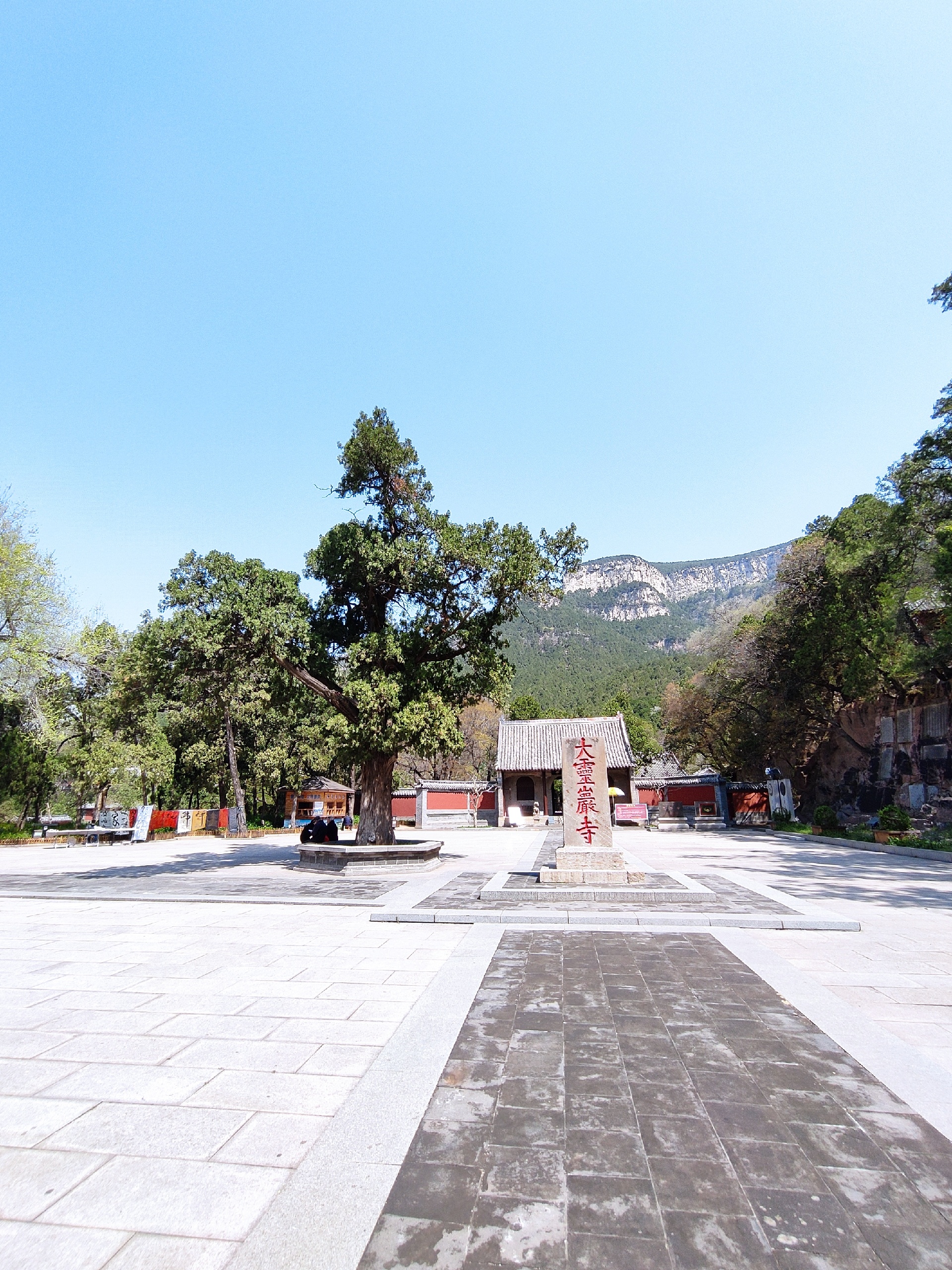 1/12关注打卡千年古刹灵岩寺来济南好几年,一直没去过灵岩寺,今日得空