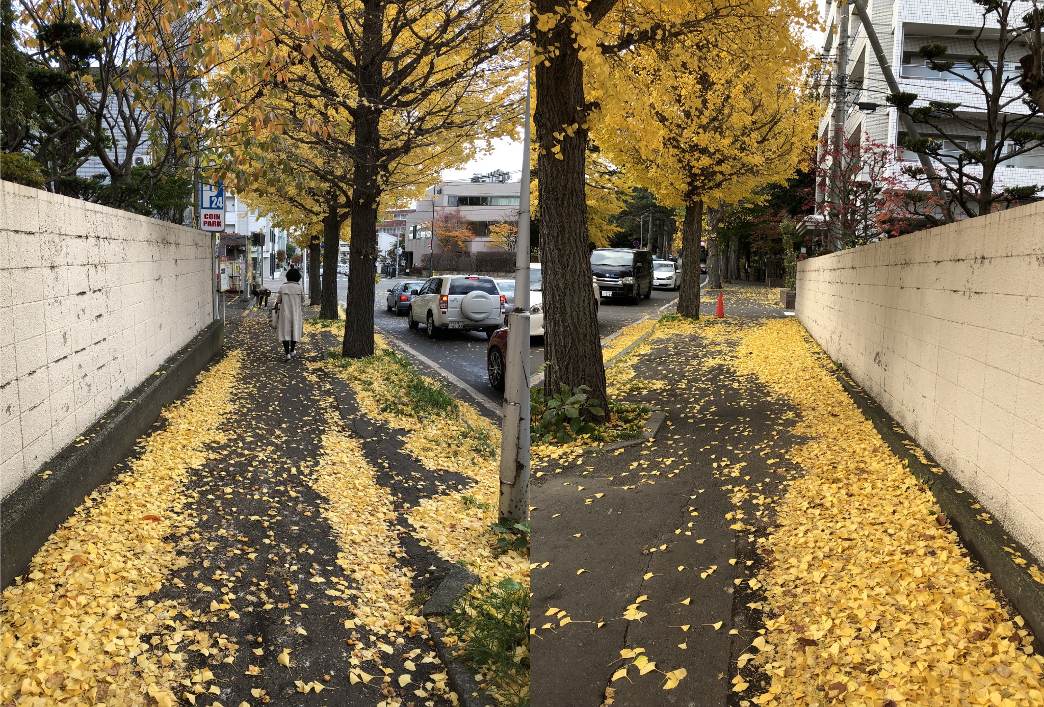 北海道自助遊攻略