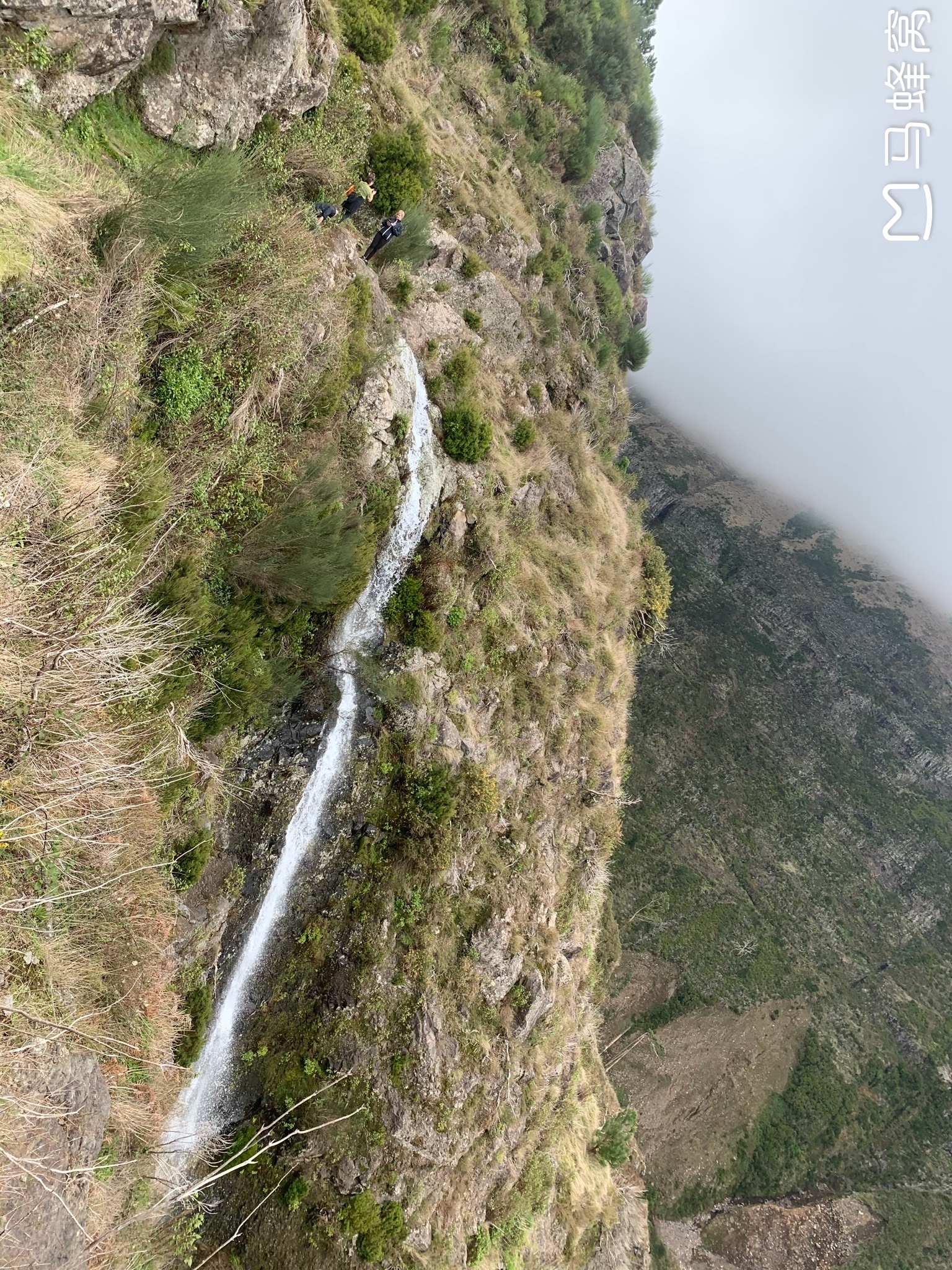 馬德拉群島自助遊攻略