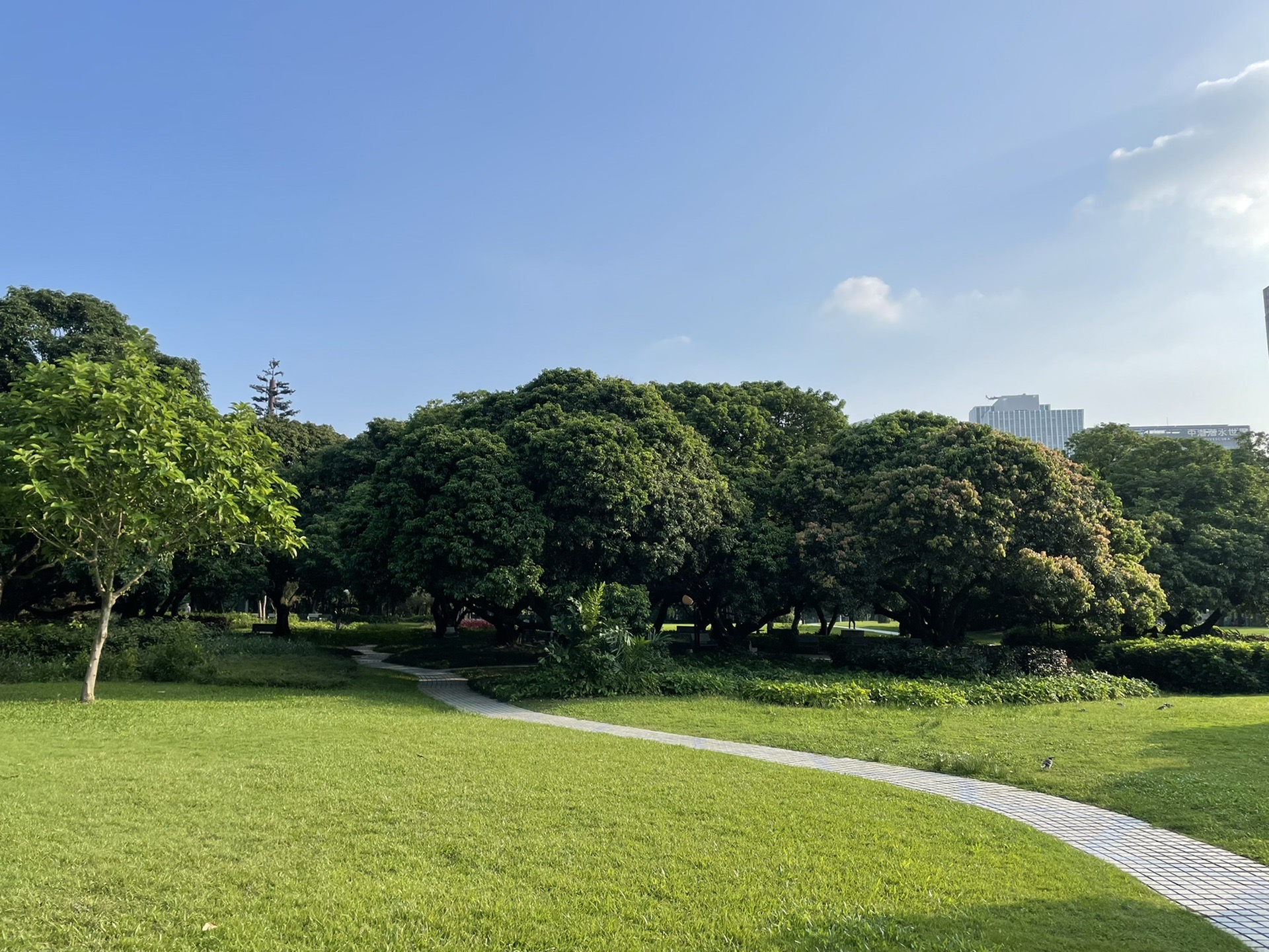 深圳荔香公園