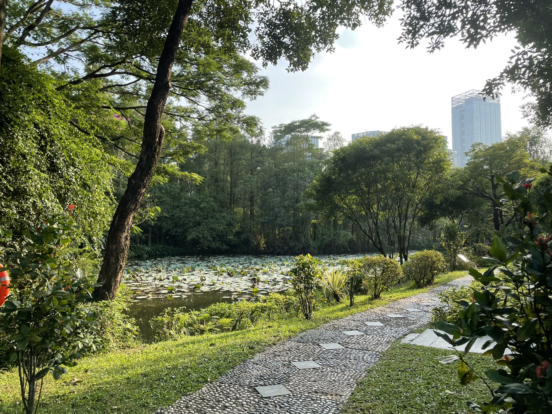 深圳荔香公園