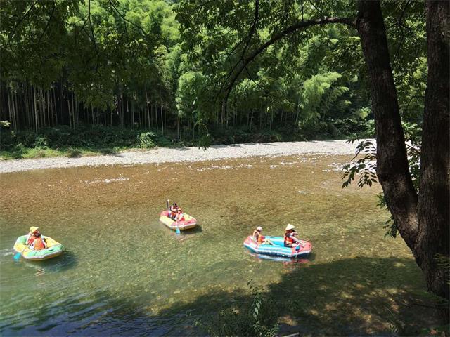 皖南川藏线月亮湾溪竹山居民宿藏着一棵千年古...