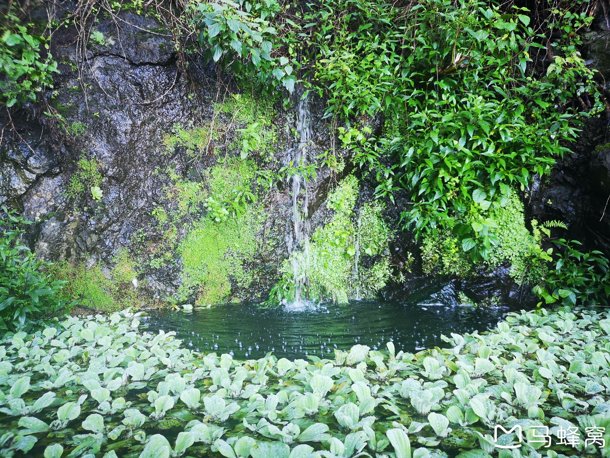 馬德拉群島自助遊攻略