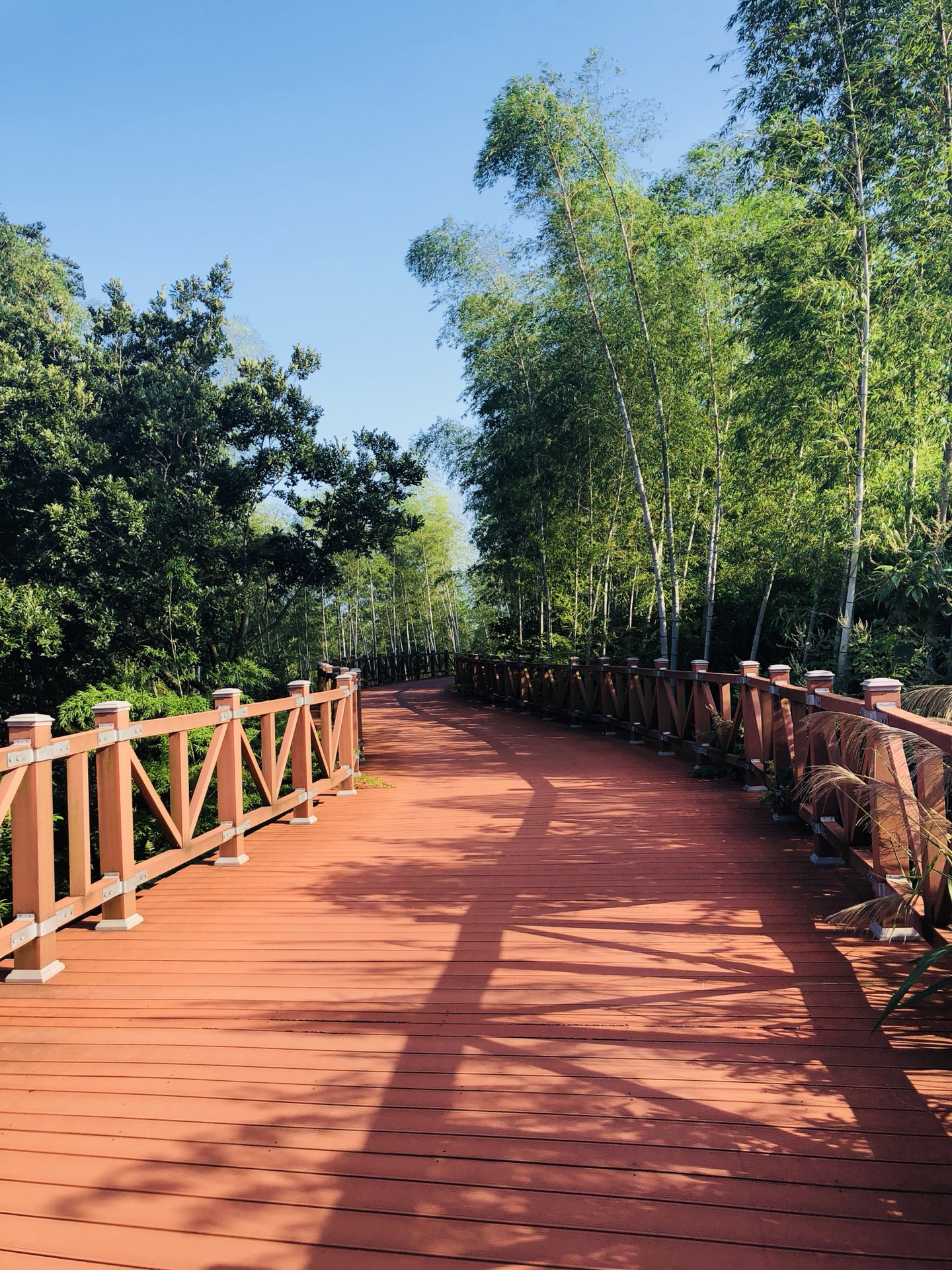 梦走遍中国no53江苏湖13流转的时光胶片皆成为命途中最美丽的点缀