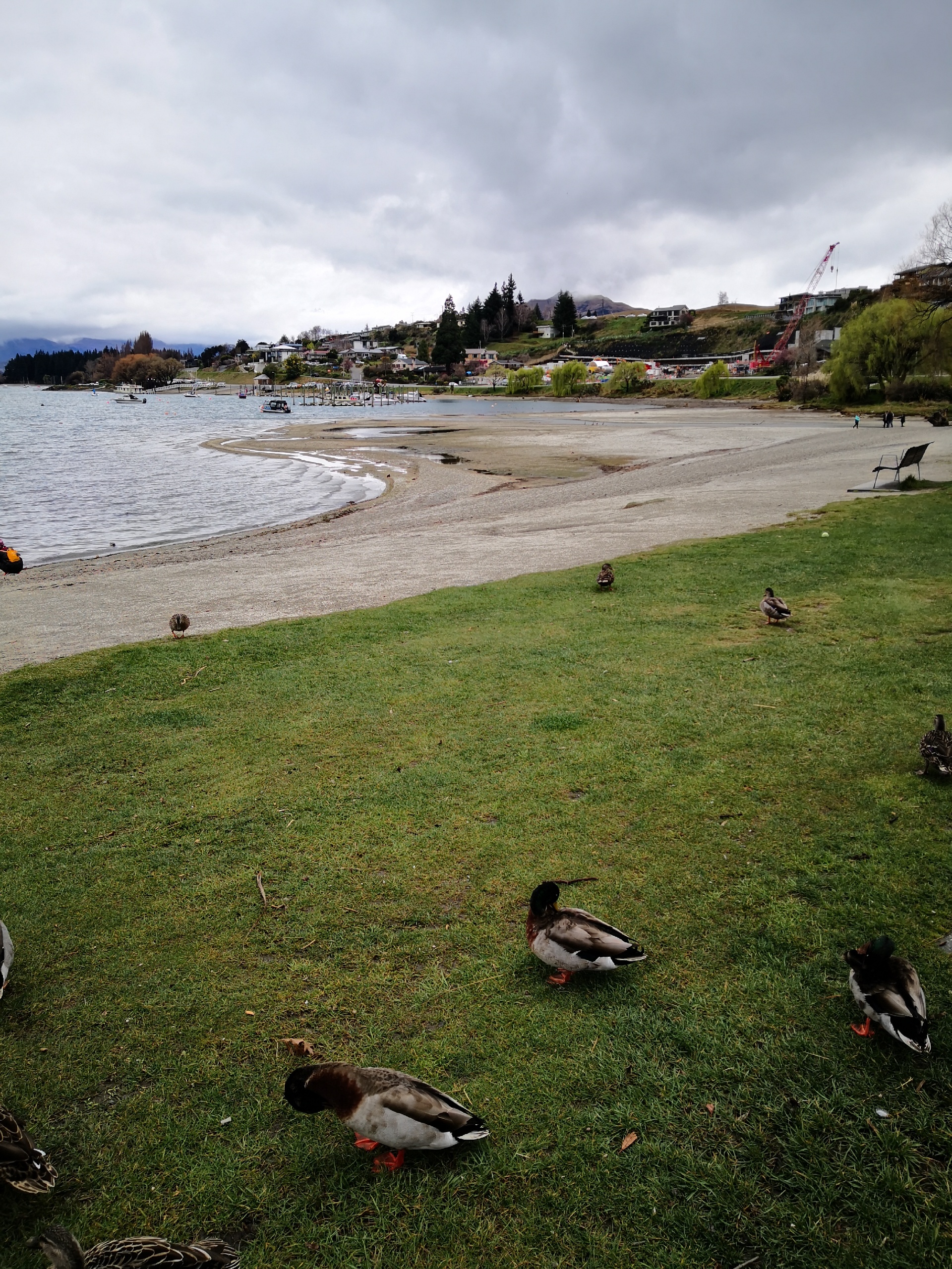 Wanaka Farmers Market