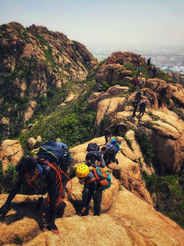 狗头石昌黎碣石山景区外一难寻的奇石