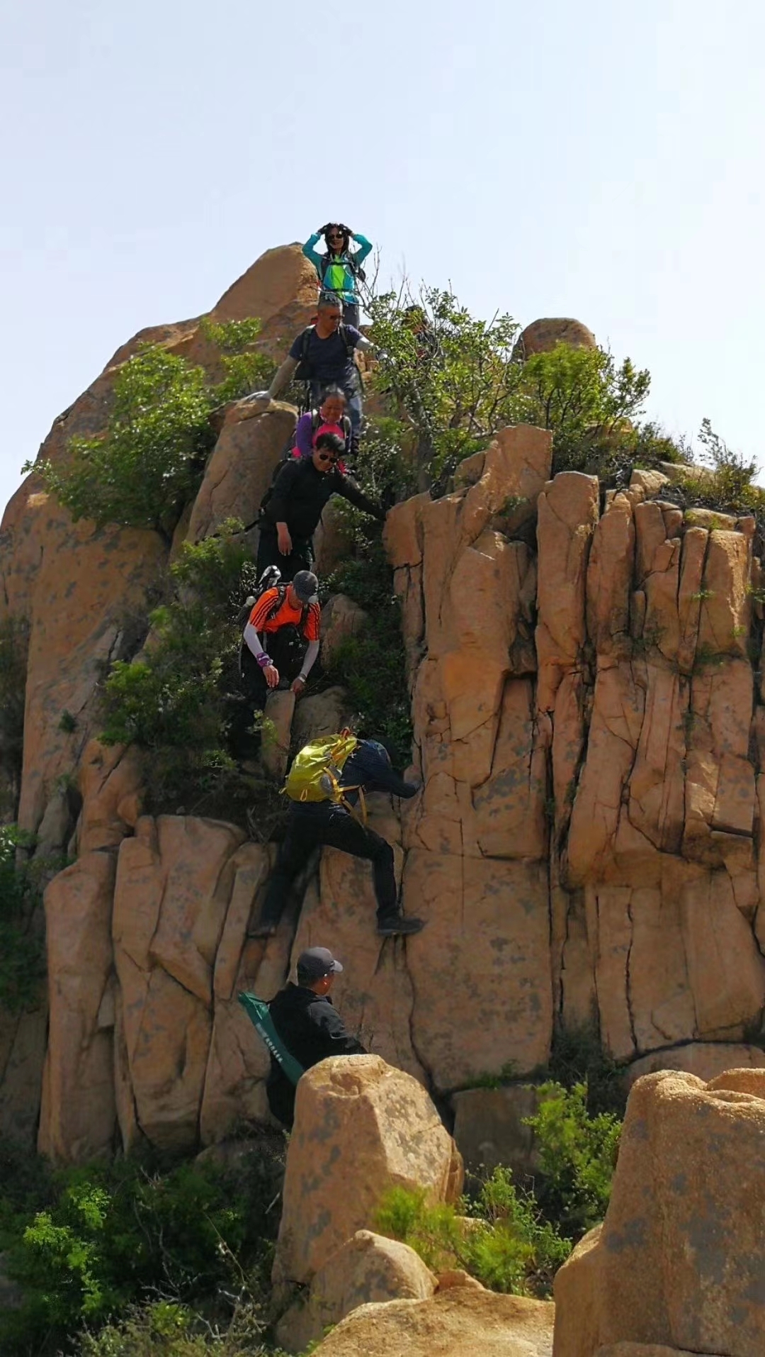 狗头石,昌黎碣石山景区外一难寻的奇石,昌黎旅游攻略 - 马蜂窝