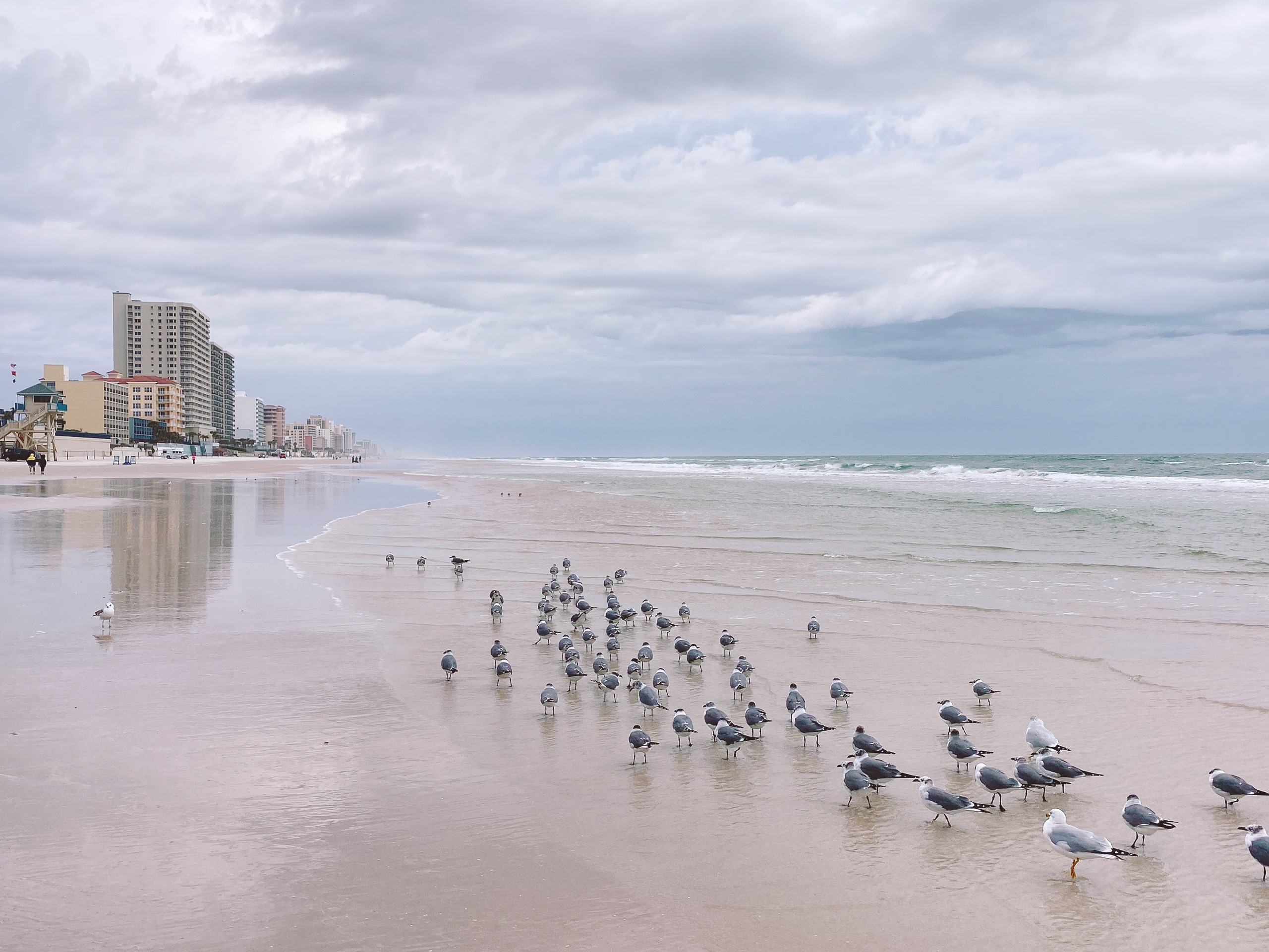 【沃卢西亚县景点图片】Daytona Beach Shores