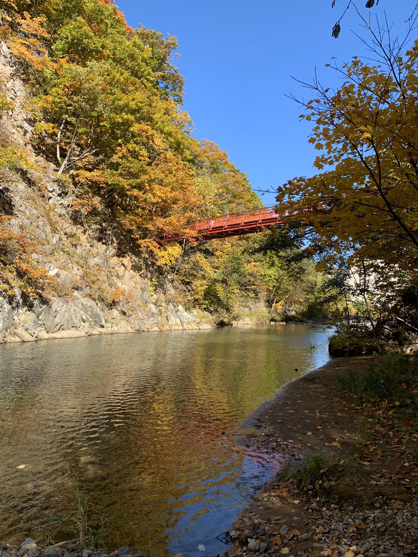 北海道自助遊攻略