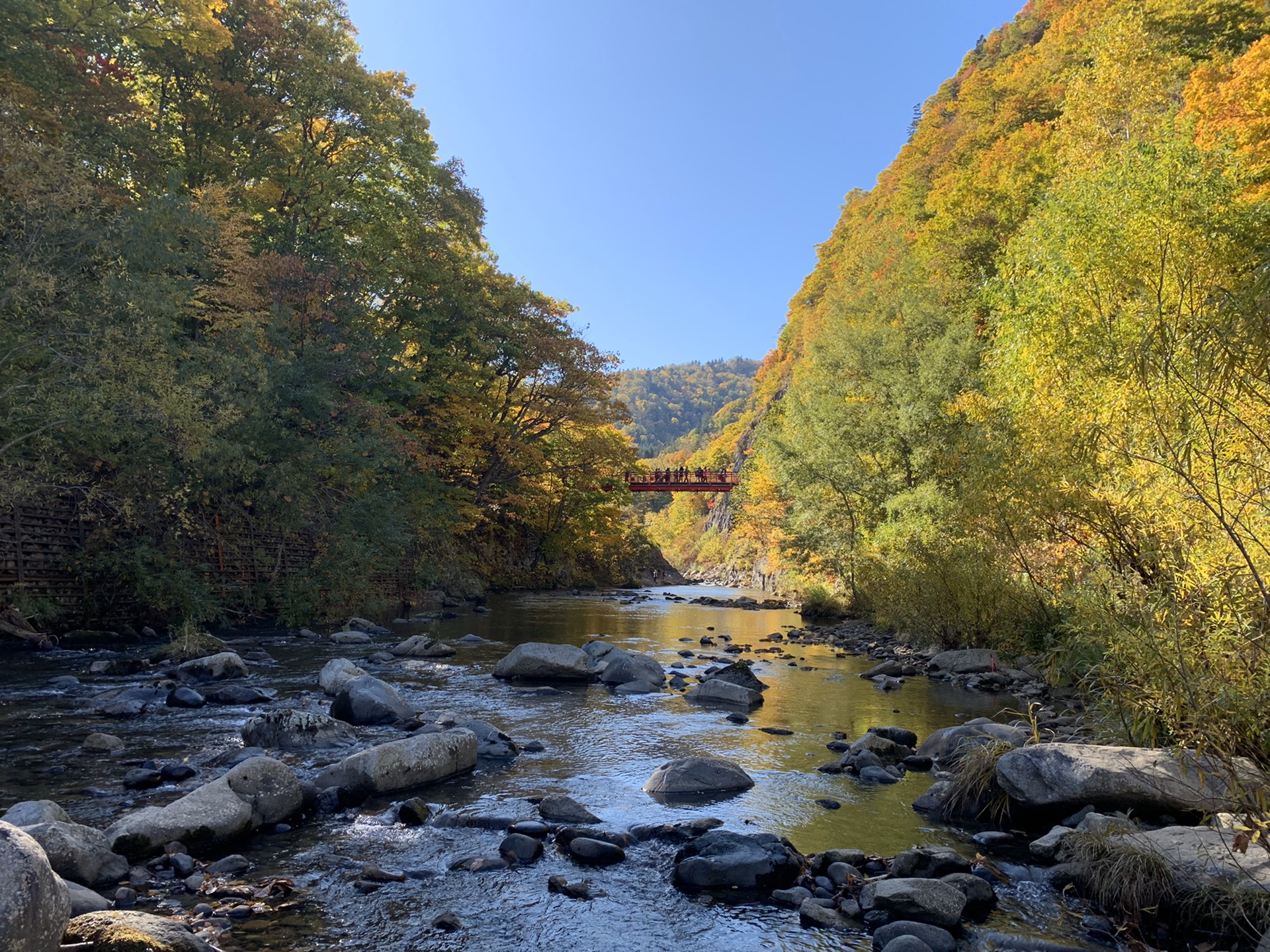 北海道自助遊攻略