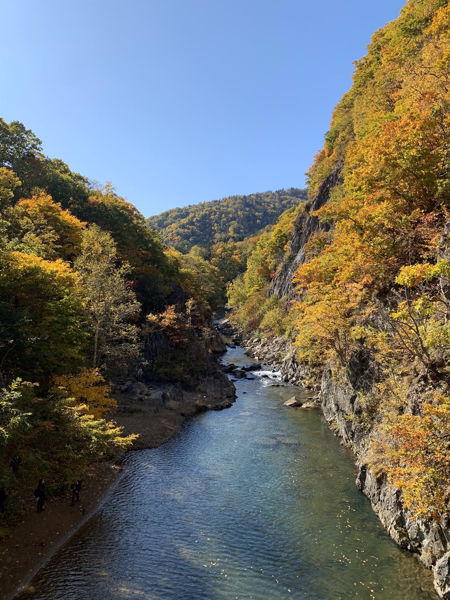 北海道自助遊攻略